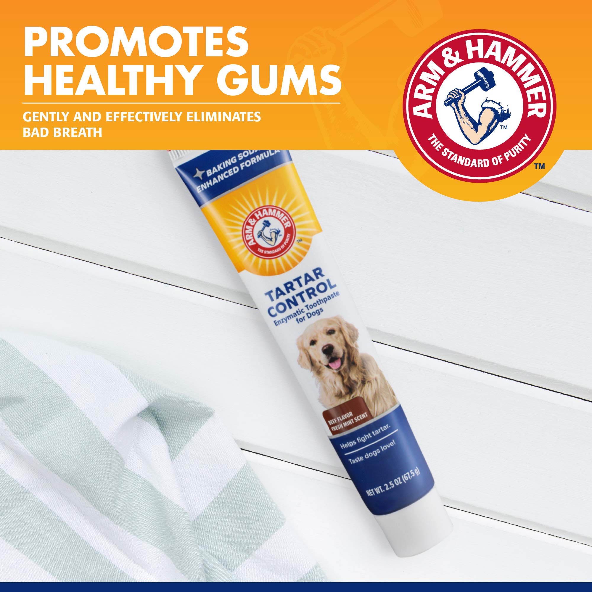Arm & Hammer for Pets Tartar Control Enzymatic Toothpaste for Dogs Reduces Plaque & Tartar Buildup Safe for Puppies Beef Flavor,