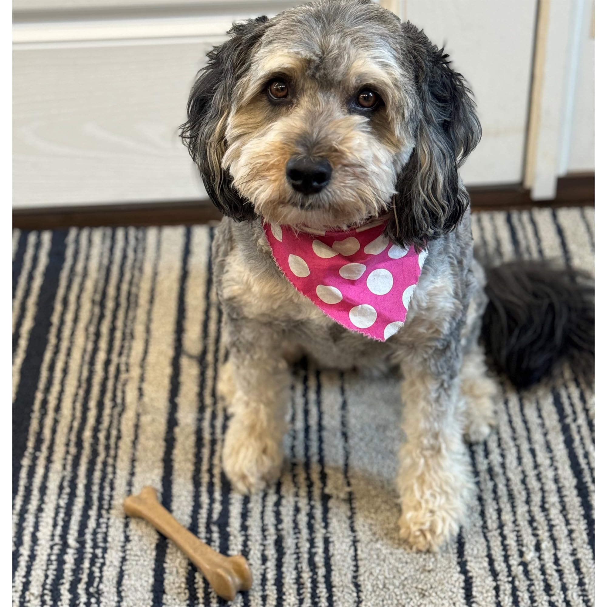 Spot Ethical Pets 54318 Bambone Bone Chicken Pet Chew Toys