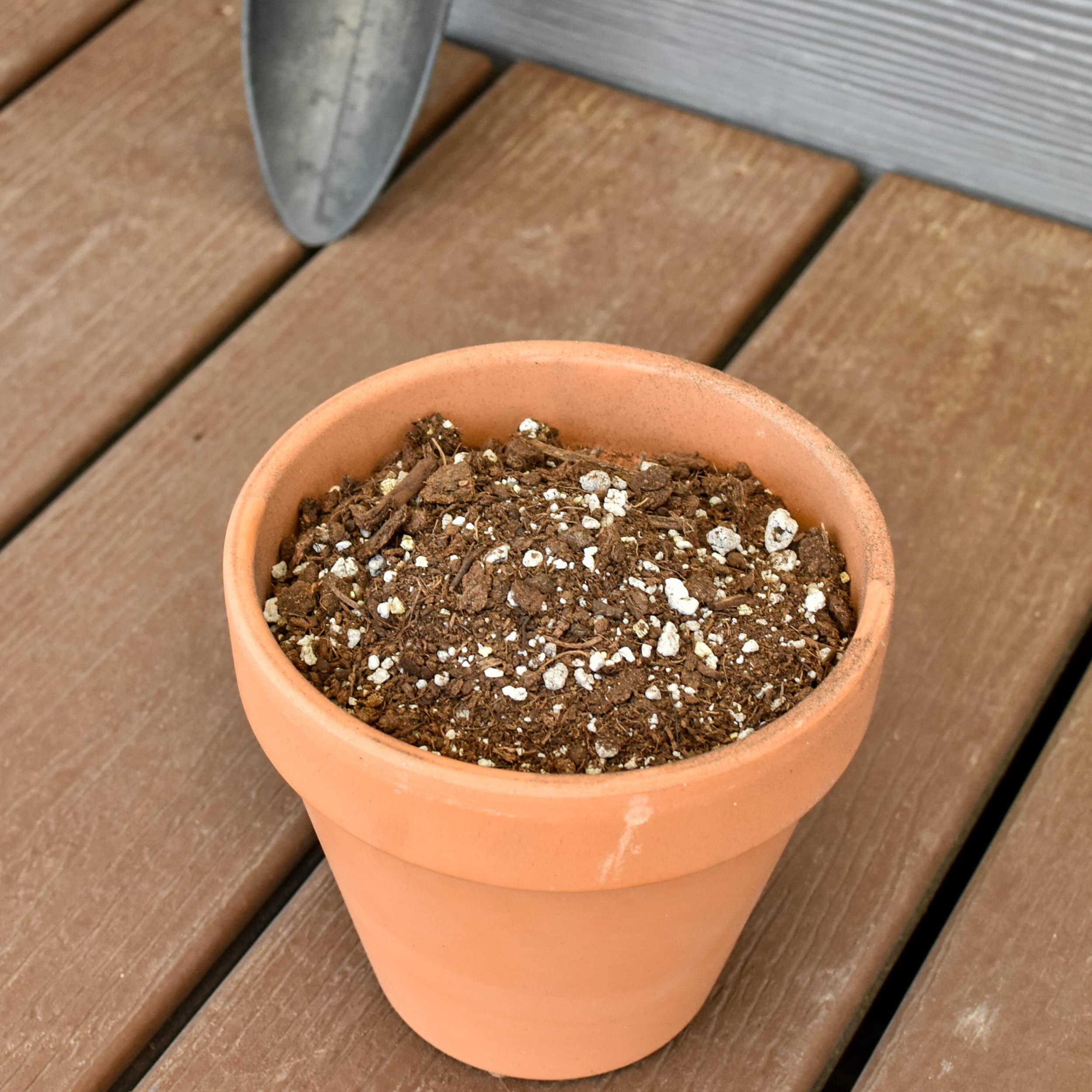 Citrus Tree Potting Soil Mix (8 Quarts), Special Blend For Indoor Oranges, Lemons, Limes And More