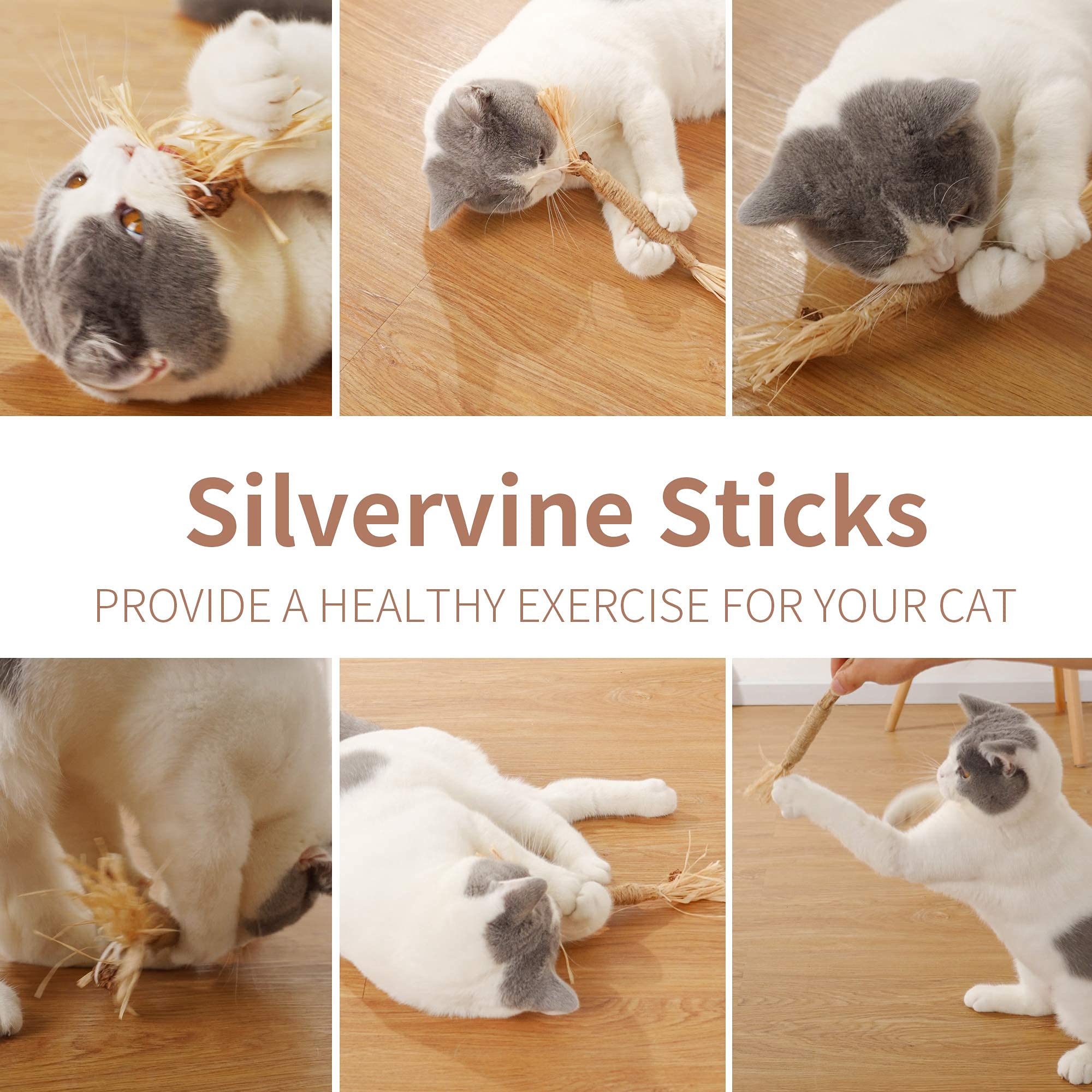 PAZS GIFT Catnip Toy Cat Toys Catnip Toy cat chew Toy cat Kicking silvervine Stick Teeth Cleaning Cute Kitten Teething Indoor I