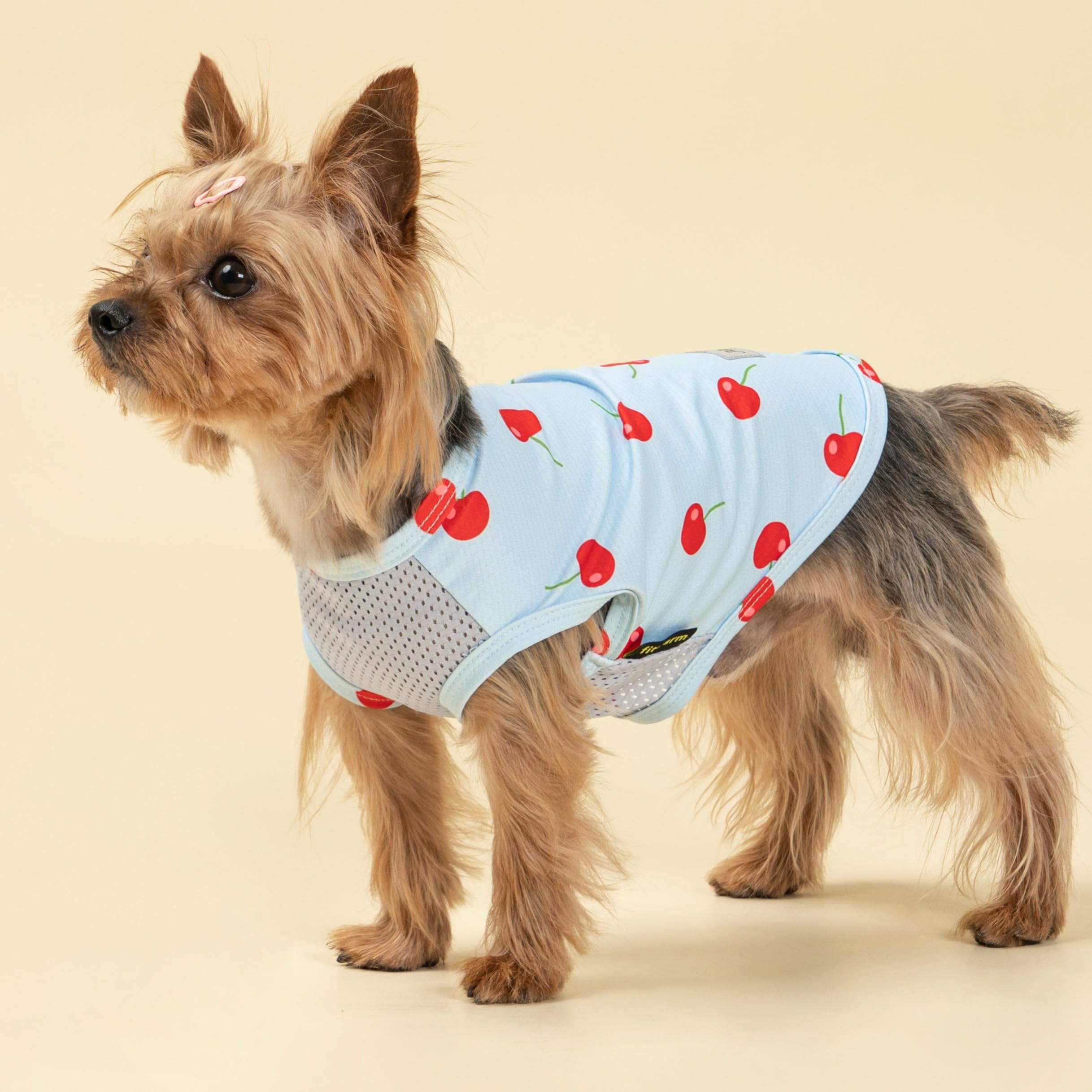 Fitwarm 2 Pack Ice Cream & Cherry Upf 50+ Uv Sun Protection Dog Shirt, Lightweight Cooling Vest, Quick Dry Summer Clothes For Sm