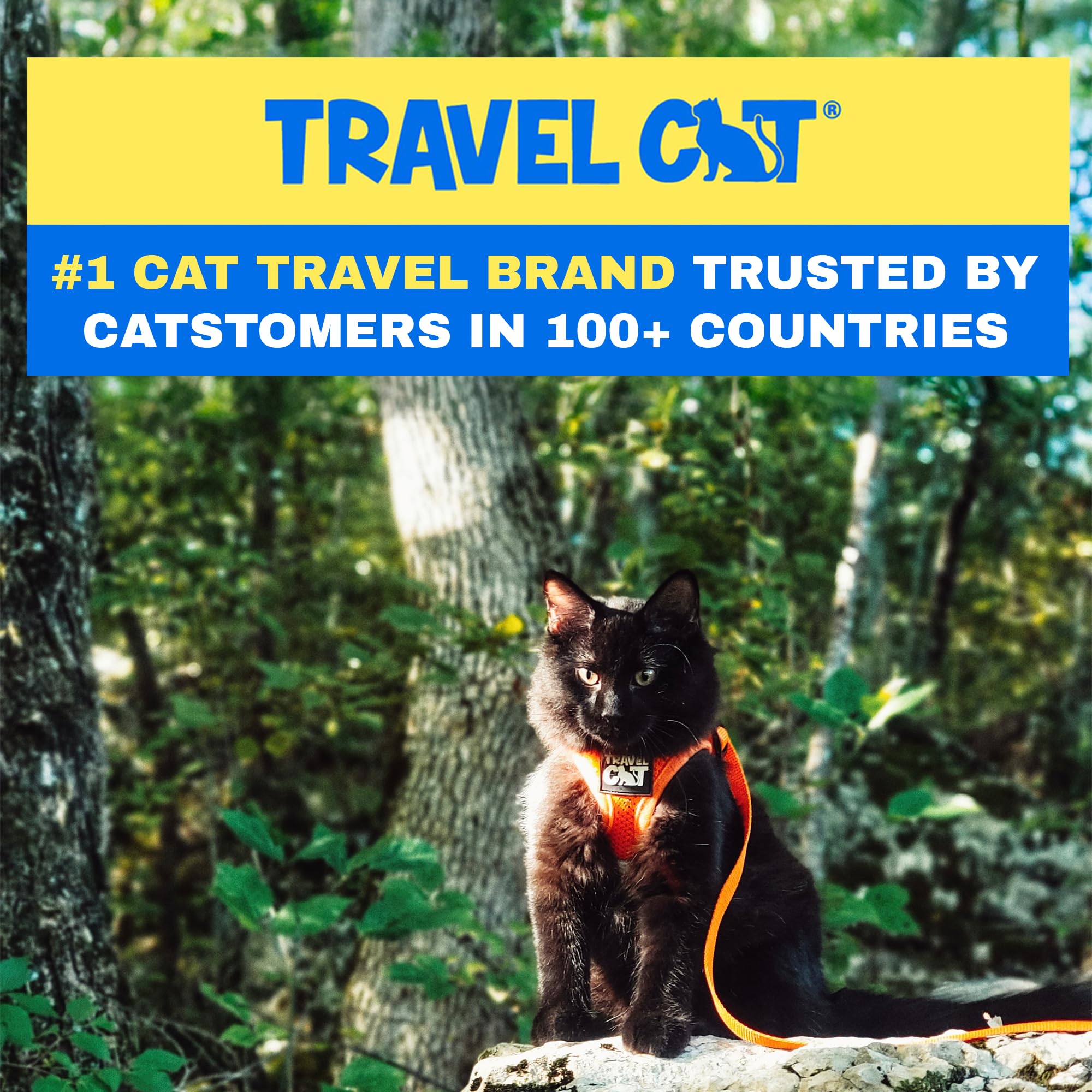 Travel Cat Harness And Leash Set - Adjustable Soft Mesh Vest Harnesses With Reflective Strap - Snug Fit Harness For Cats, Kitten For Outdoor Walking, Orange, Extra Small (Chest 9.5-11.8 Inch)