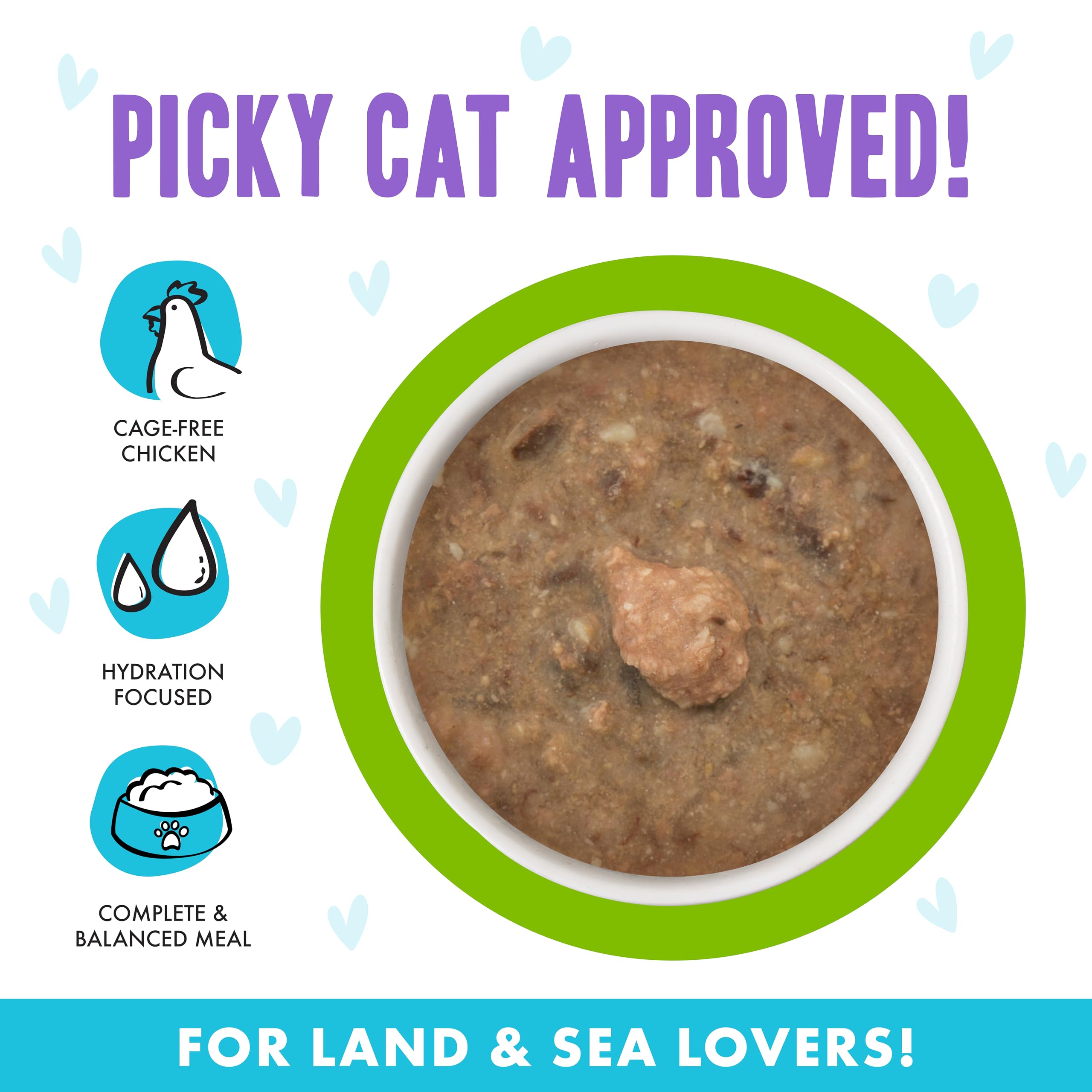 Weruva B.F.F. OMG - Best Feline Friend Oh My Gravy!, Selfie Cam! with Chicken & Lamb in Gravy Cat Food, 5.5oz Can (Pack of 8)