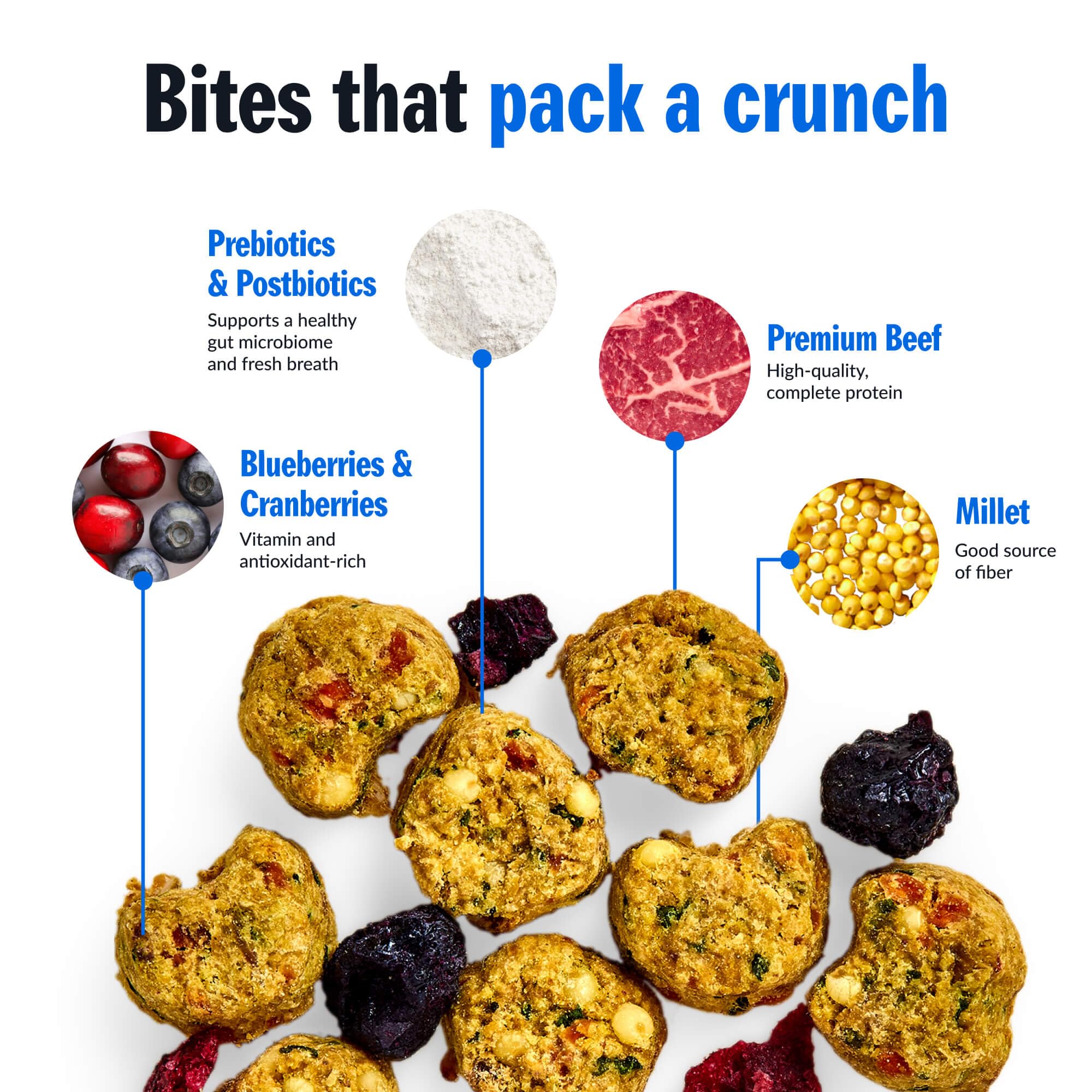 PetPlate Trail Blazin Beef FreshBaked Dry Dog Food Grain-Inclusive, Gently Baked and Air-Dried Human Grade Dog Food, Formulated