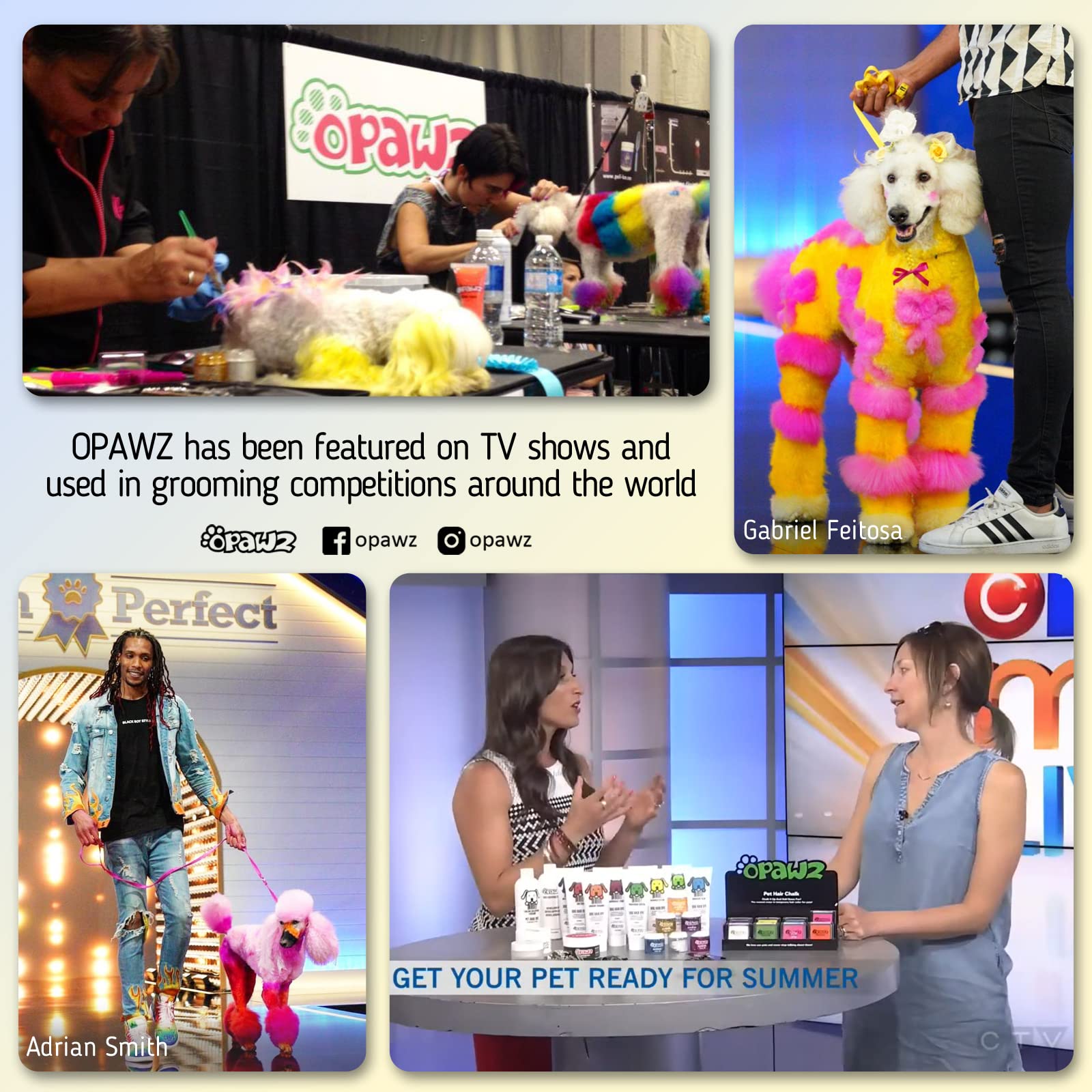 Opawz Permanent Dog Hair Dye, Pet Hair Dye Safely Used By Grooming Salons For A Decade, Pet Safe Dye Lasts Over 20 Washes, Bright Color For Dogs And Horses (Lamarius Blue)