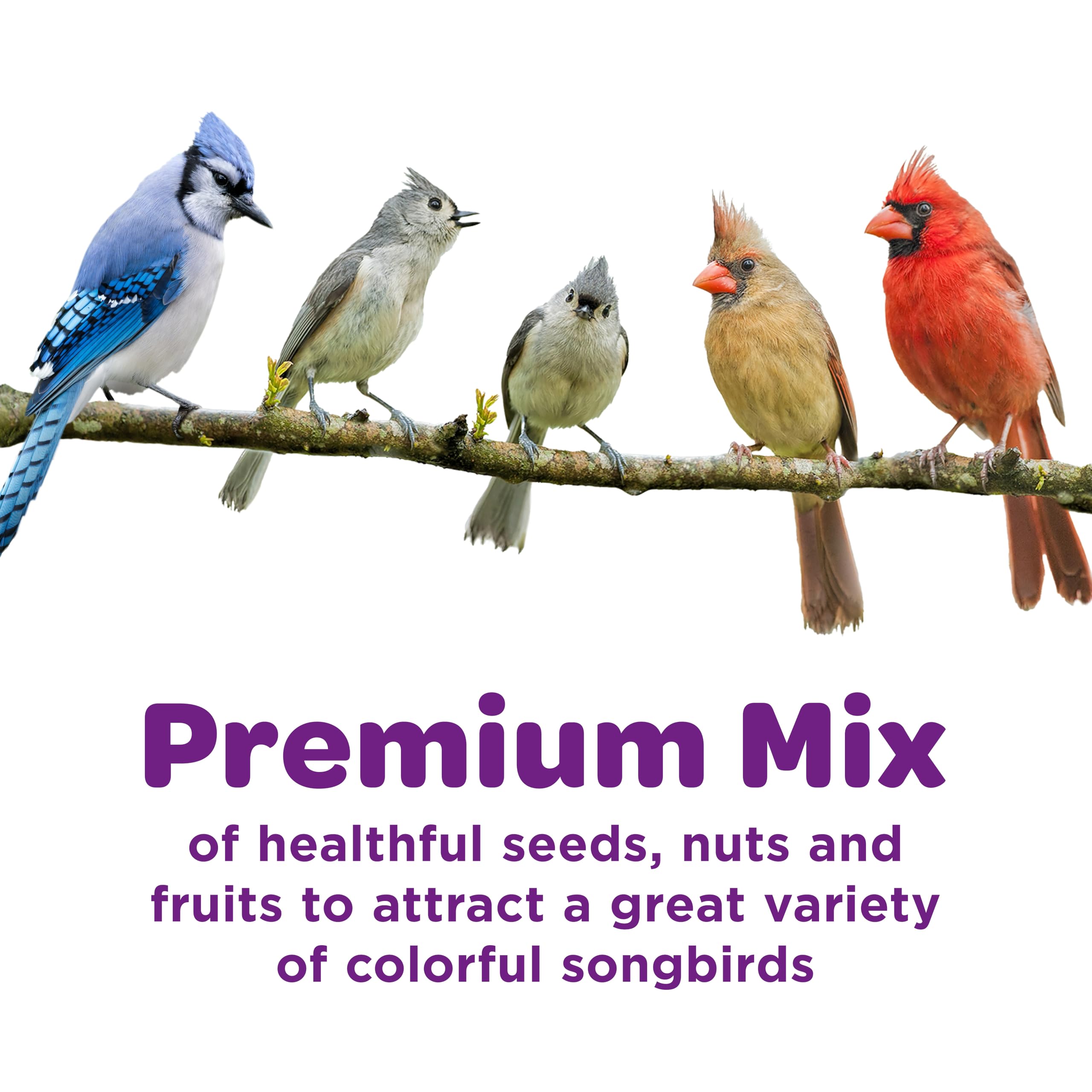 KT NUT&FRUIT BLEND 20LB (Pack of 1)
