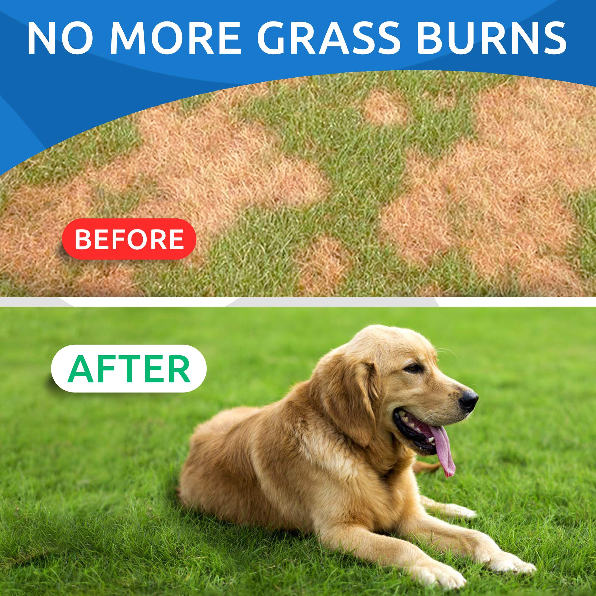 Bark&Spark All-Natural Grass Burn Spot Chews for Dogs - Pee Lawn Spot Saver - Grass Restore Treats - Dog Urine Neutralizer Solut