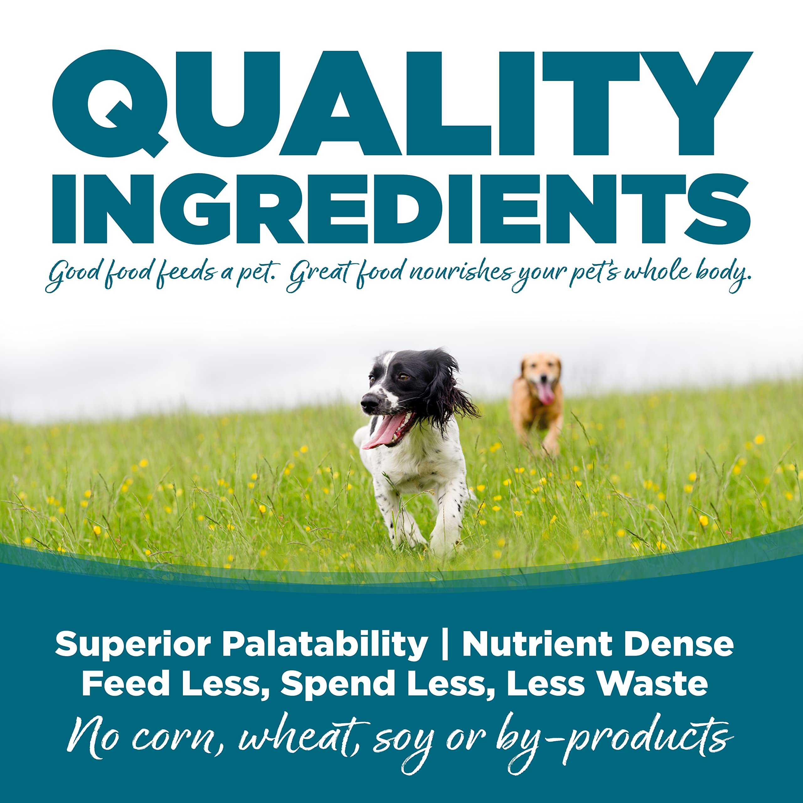 NutriSource Adult Dry Dog Food, Chicken and Rice, 12LB