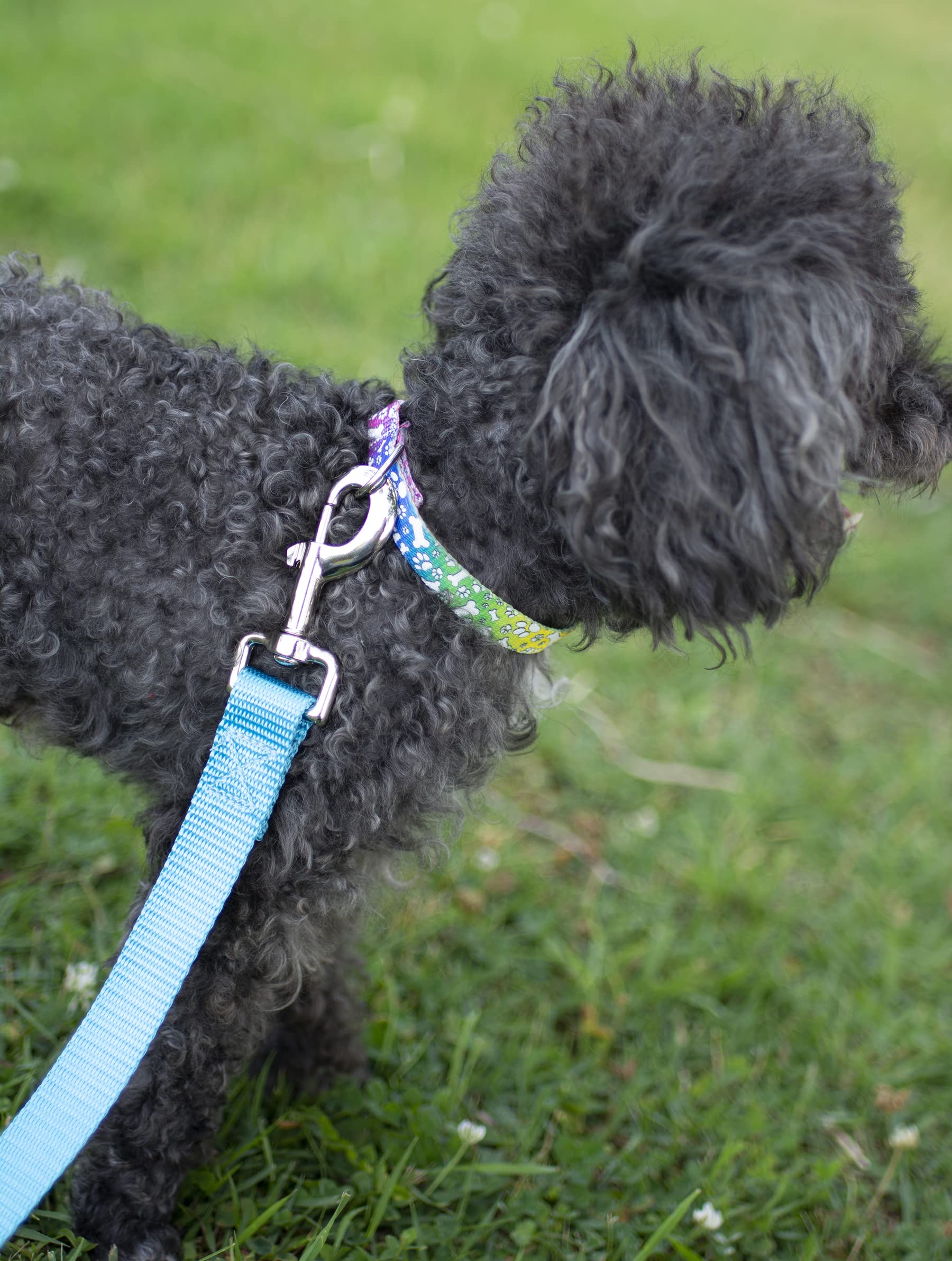 Country Brook Petz - Trippy Doggo Martingale Dog Collar - Groovy Collection Featuring Far Out Designs (1/2 Inch, Extra Small)