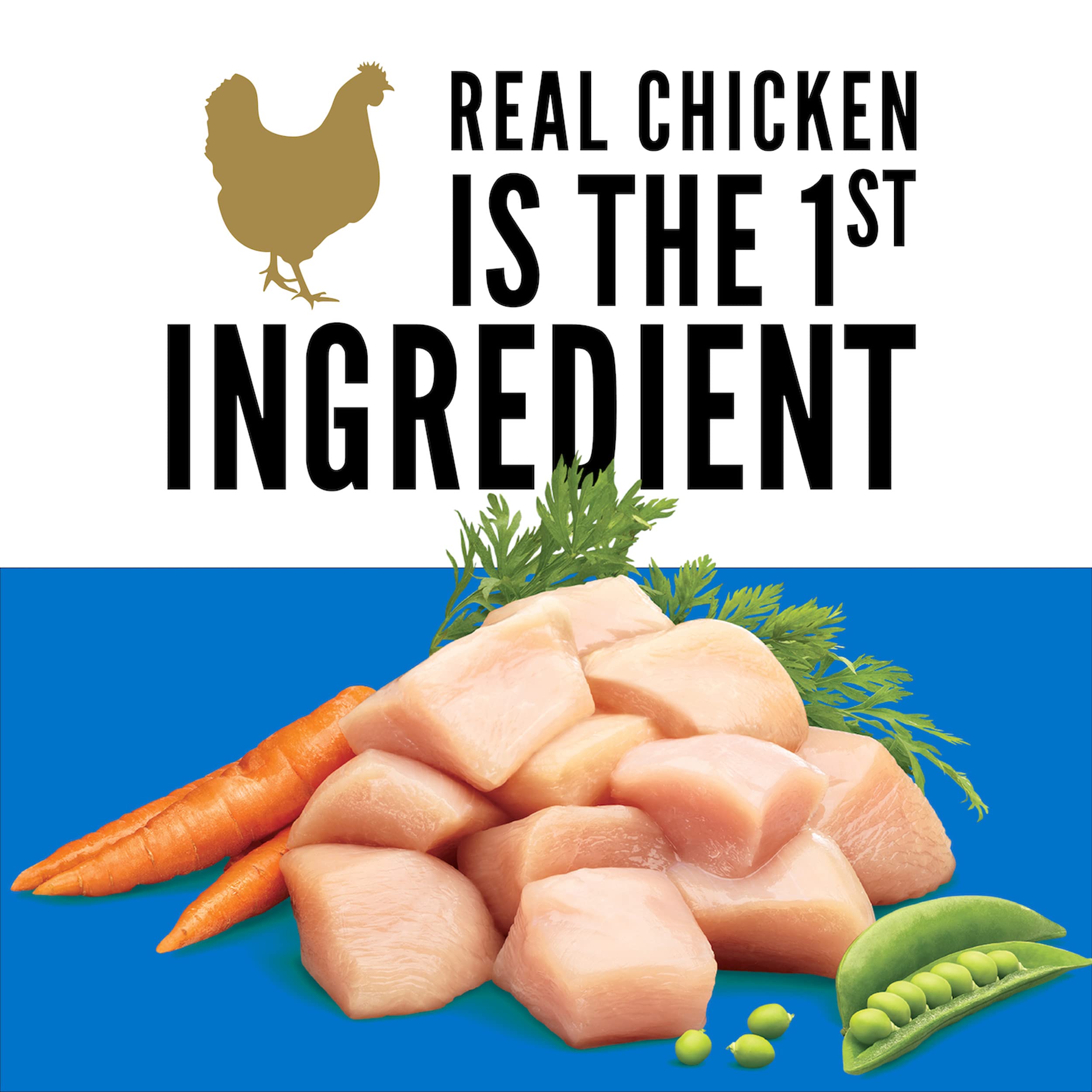 Cesar Small Breed Dry Dog Food Rotisserie Chicken Flavor and Spring Vegetables Garnish, 12 lb. Bag