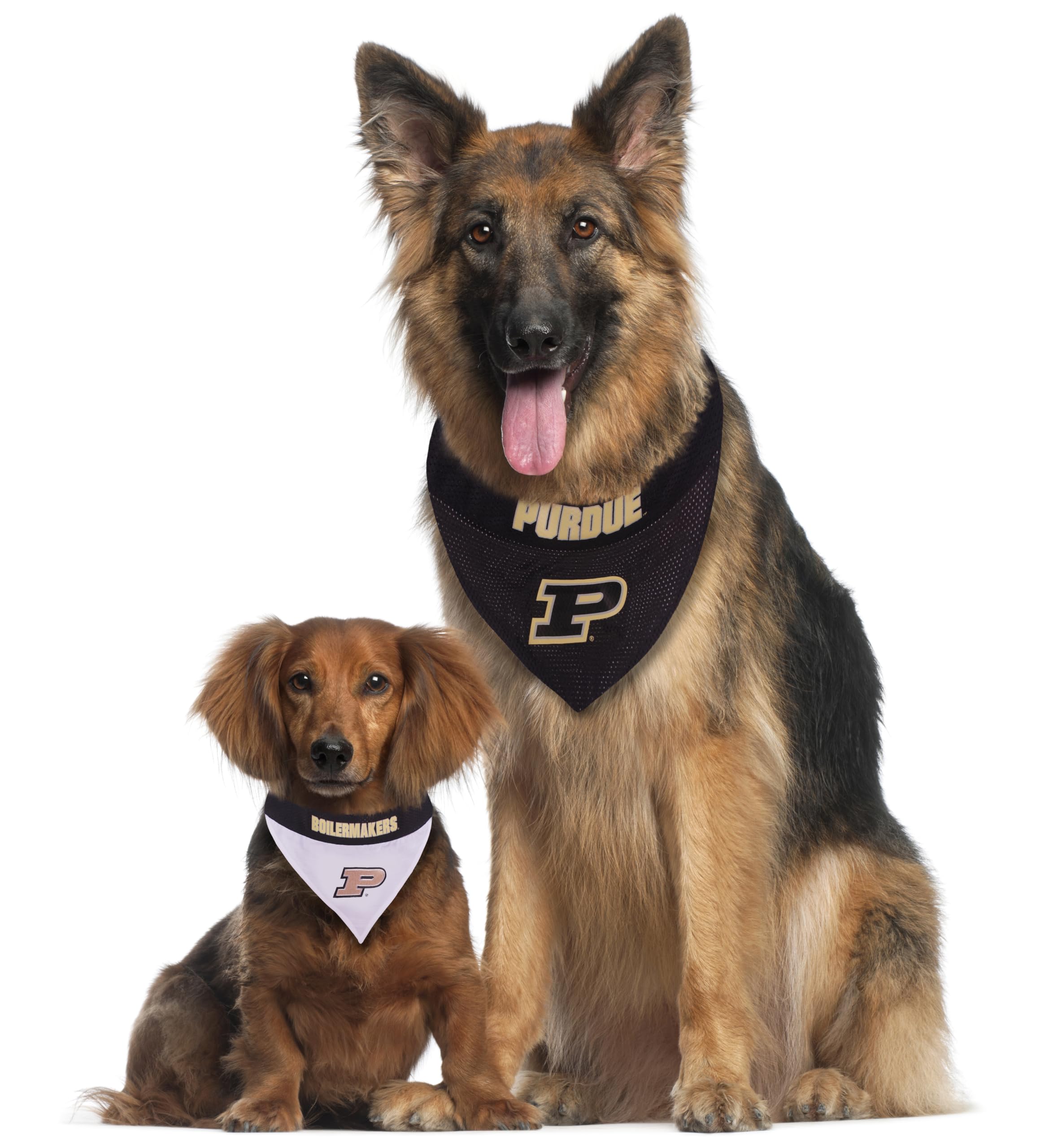 Pets First Collegiate Pet Accessories, Reversible Bandana, Purdue Boilermakers Size Xx-Large