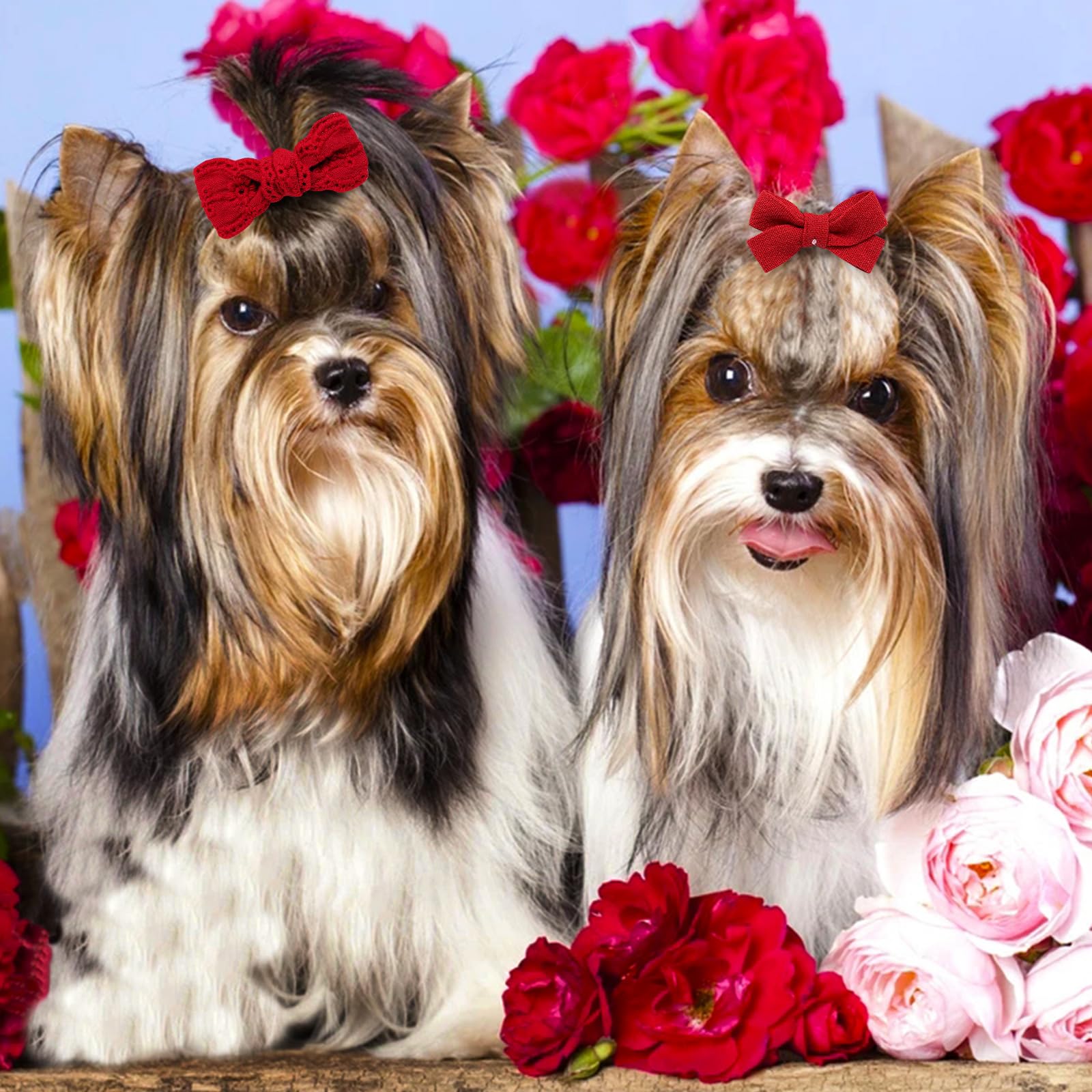 Mruq Pet 20Pc Red Small Dog Hair Bows With Rubber Bands, Bulk Puppy Dog Hair Bows, Mix Handmade Cute Dog Gooming Flower Ball Bow
