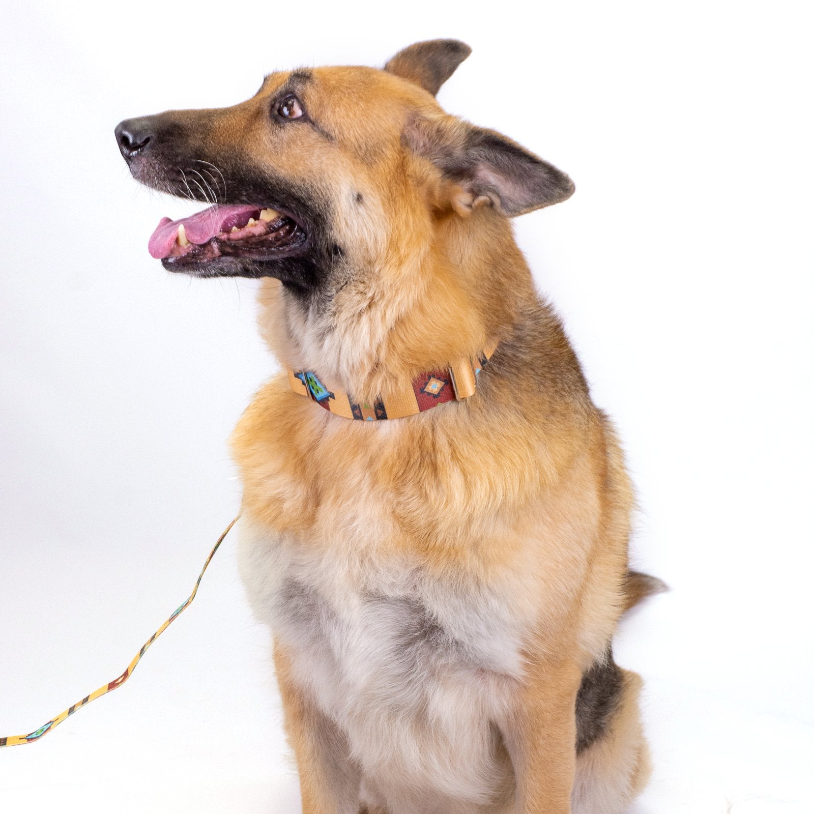 Country Brook Petz - Native Arizona Martingale Dog Collar - Country And Western Collection Featuring Rustic Designs (1/2 Inch, 2