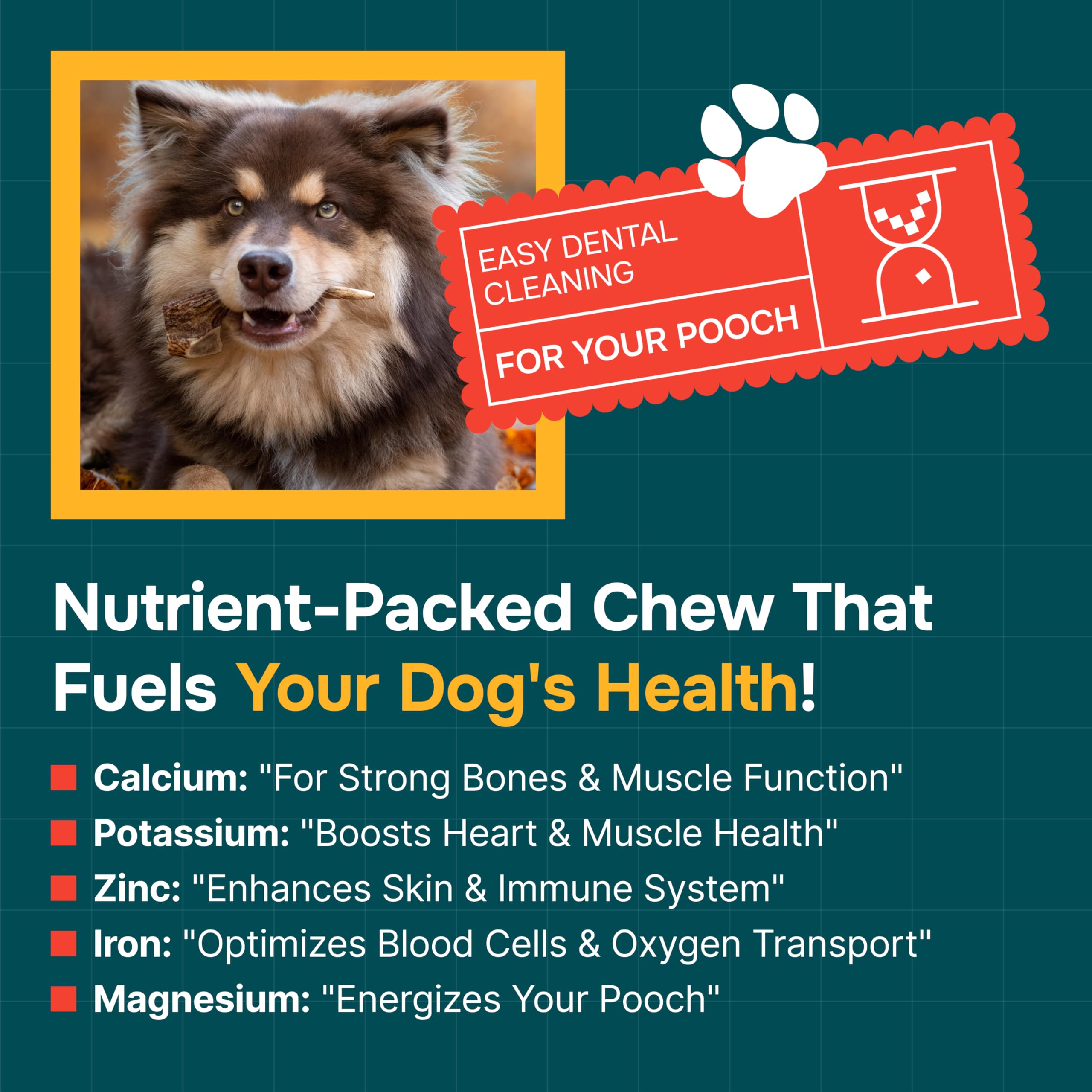 REXIPETS 100% Natural - Elk Antlers for Dogs - Naturally Shed in USA - Long Lasting Chews for Aggressive Chewers - Natural, Real