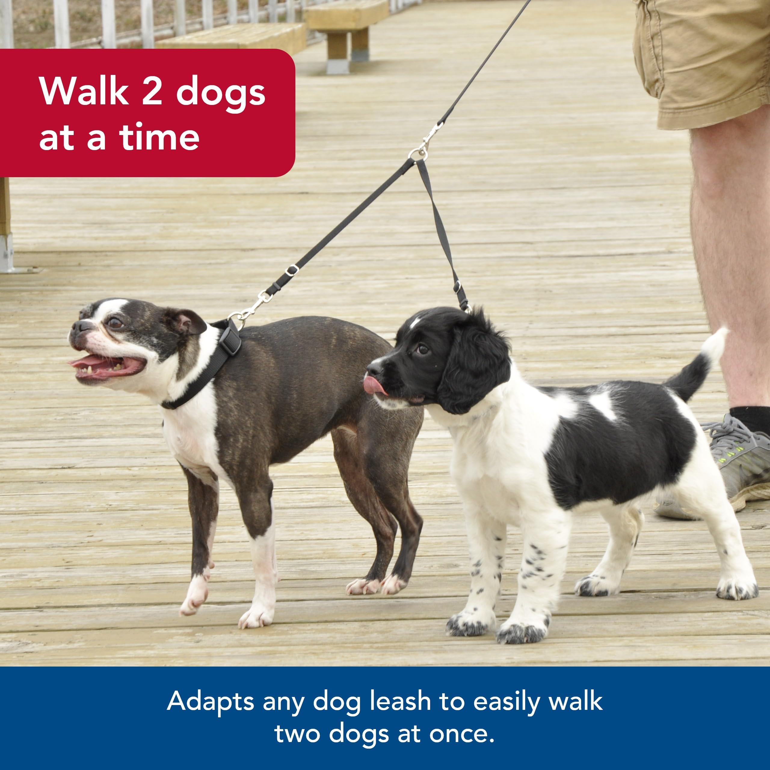 Coastal Pet Two-Dog Adjustable Coupler - Tangle-Free Dog Leash Connector - Dog Walking Leash Coupler - Perfect For Dogs Black, 3/4' X 24'-36'