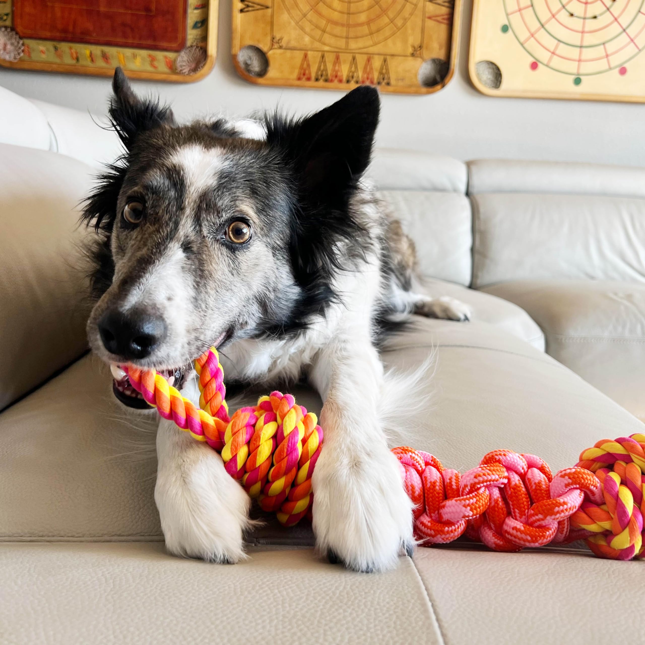 Kong Rope Bunji Dog Toy, Assorted (Large)