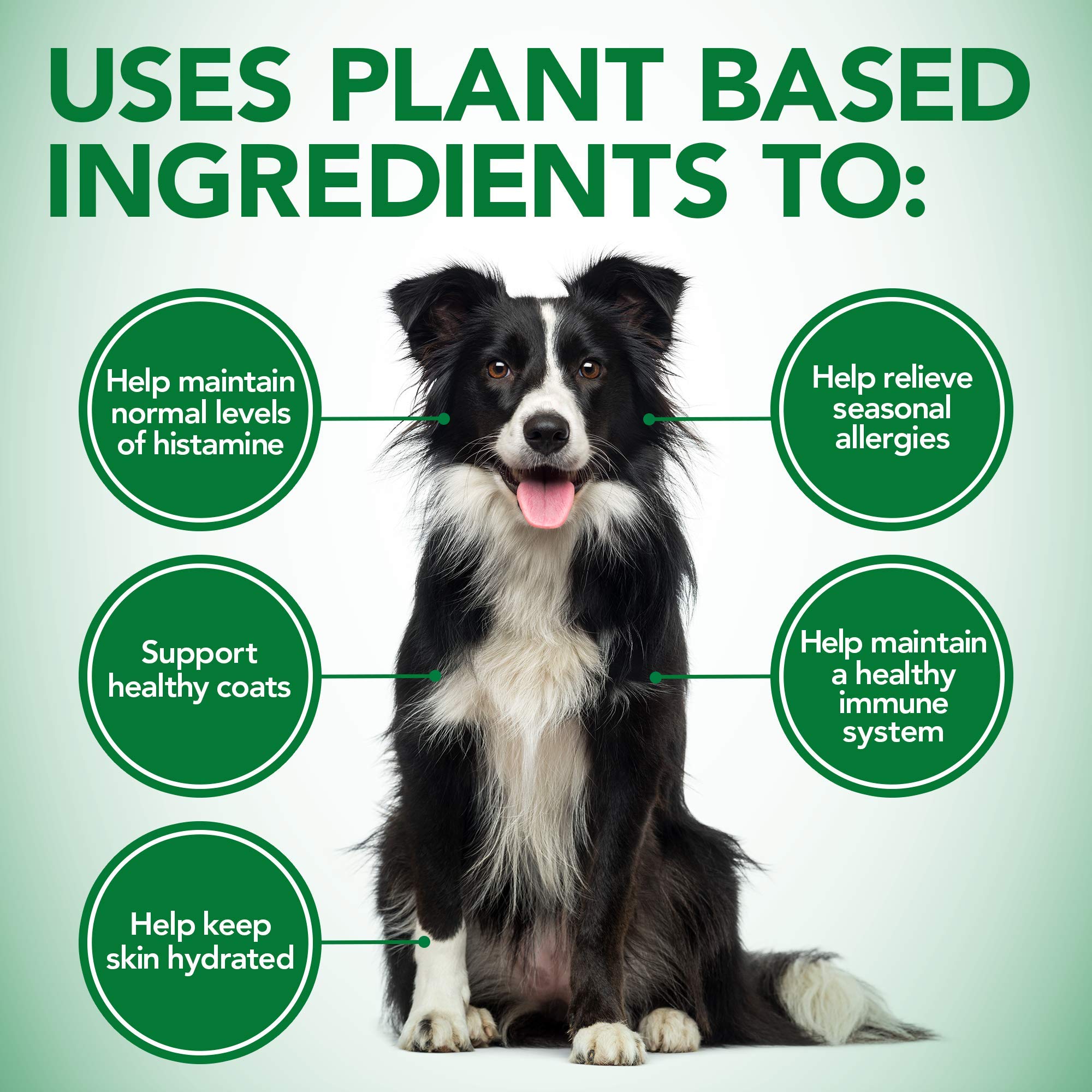 Vets Best Healthy Coat Shed & Itch Relief Dog Supplements | Relieve Dogs Skin Irritation and Shedding Due to Seasonal Allergies