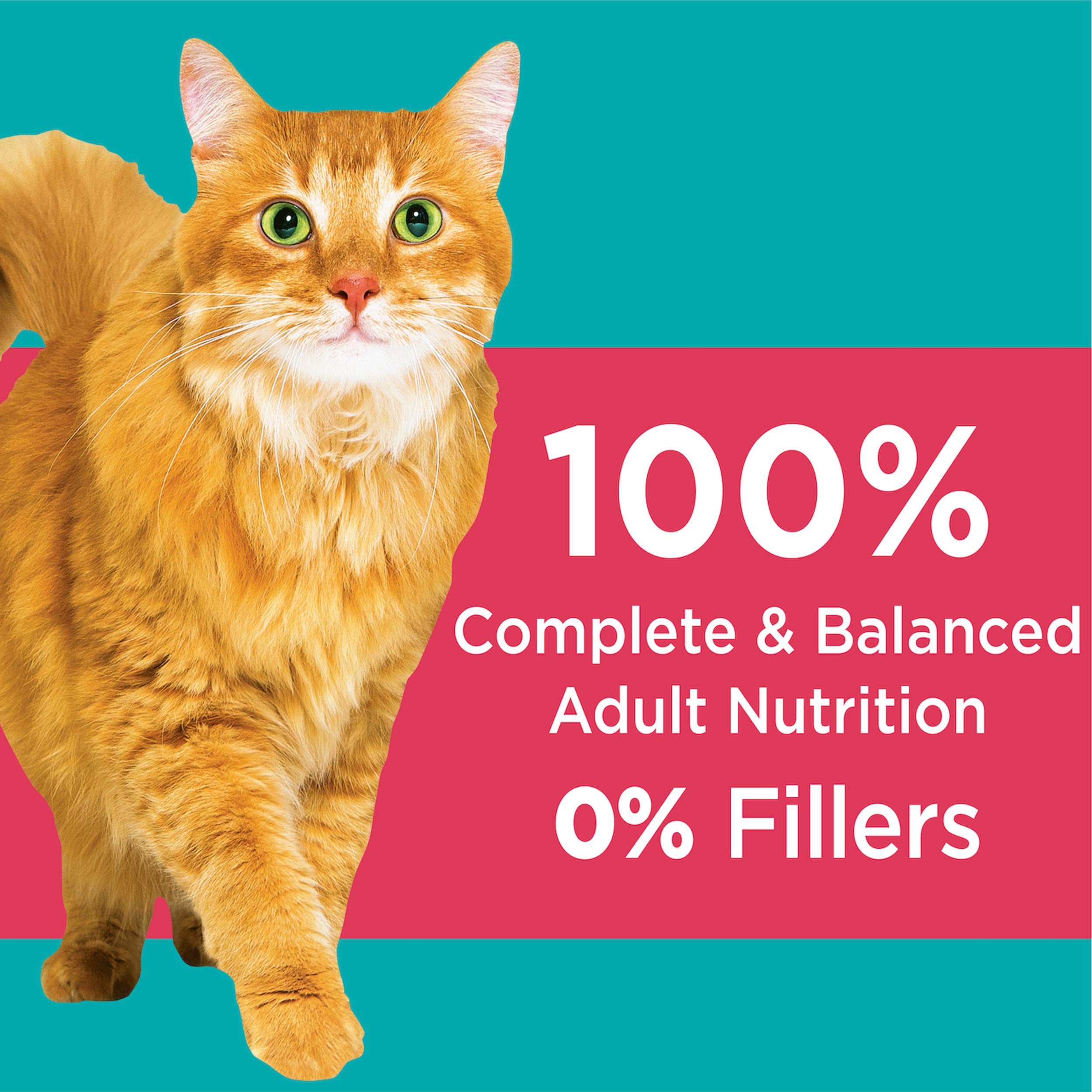 IAMS Proactive Health Indoor Weight Control & Hairball Care Adult Dry Cat Food, Salmon Recipe, 3.5 lb. Bag