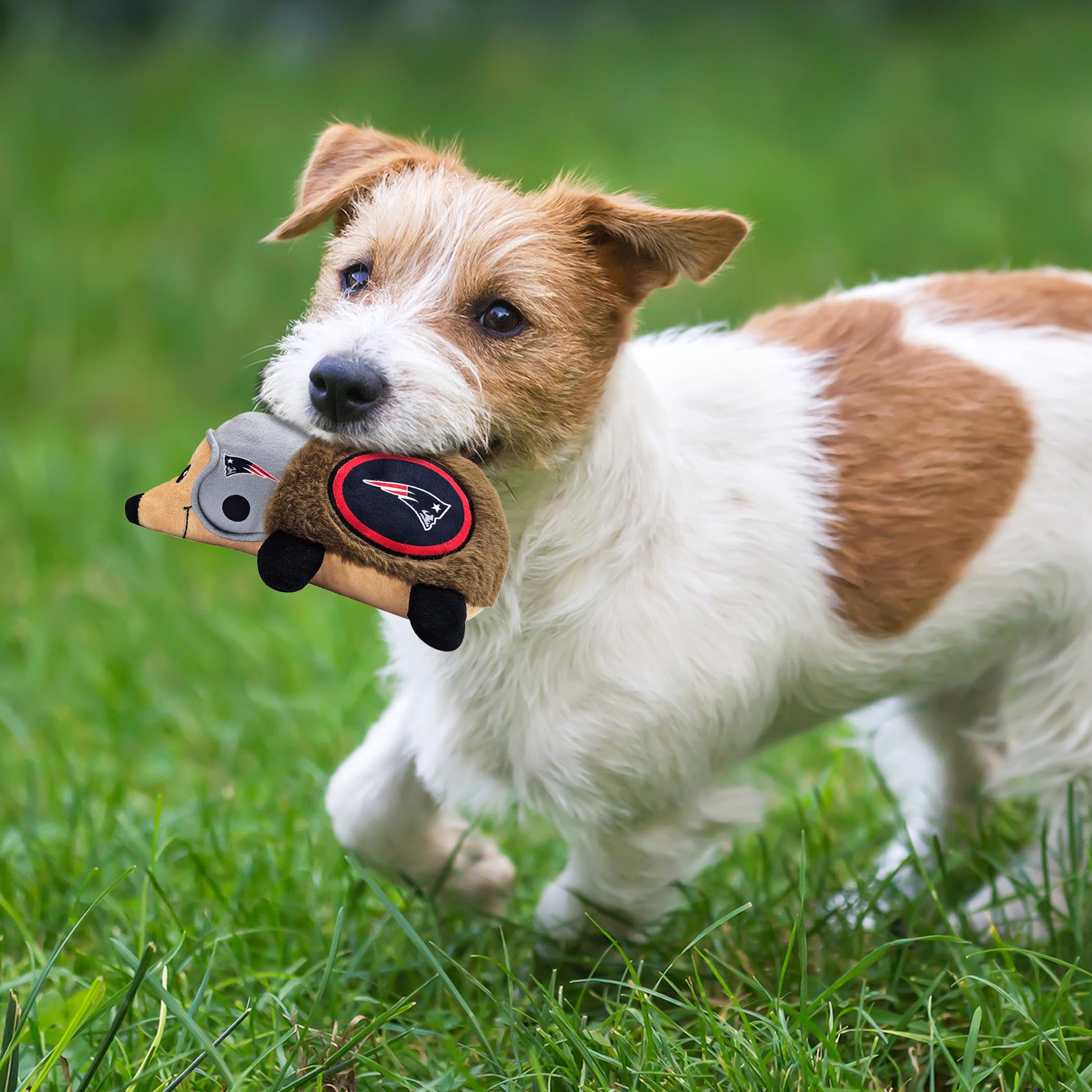Nfl New England Patriots Plush Hedgehog Toy For Dogs & Cats, Cool Soft Pet Toy For Fun And Interactive Play, Dog Chew Toy With S