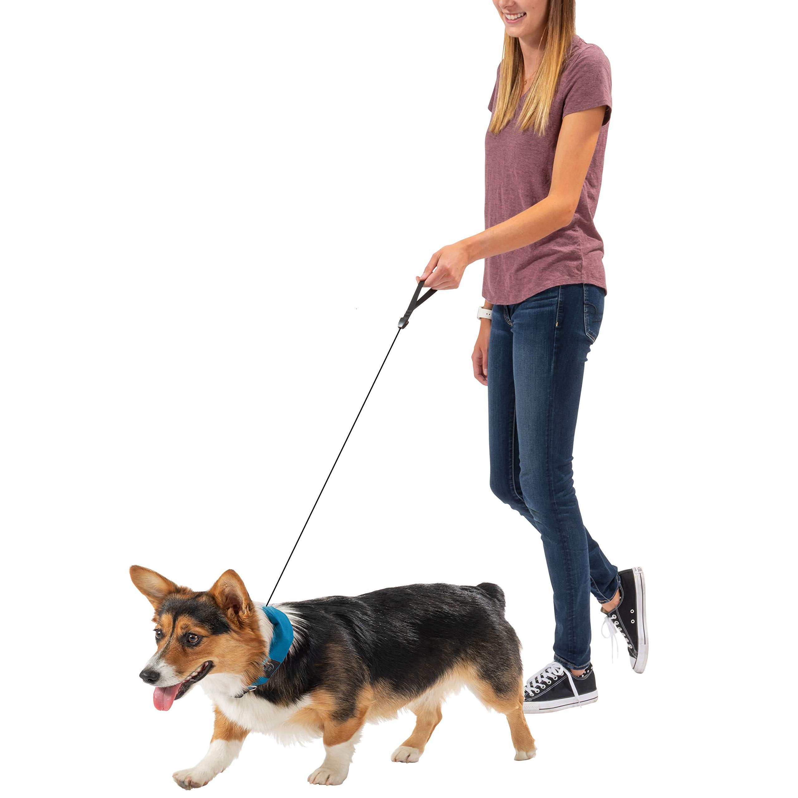 Nite Ize Raddog All-In-One Collar + Leash Combo, Dog Collar With Built-In Retractable Leash, Blue, Small 14'-16'