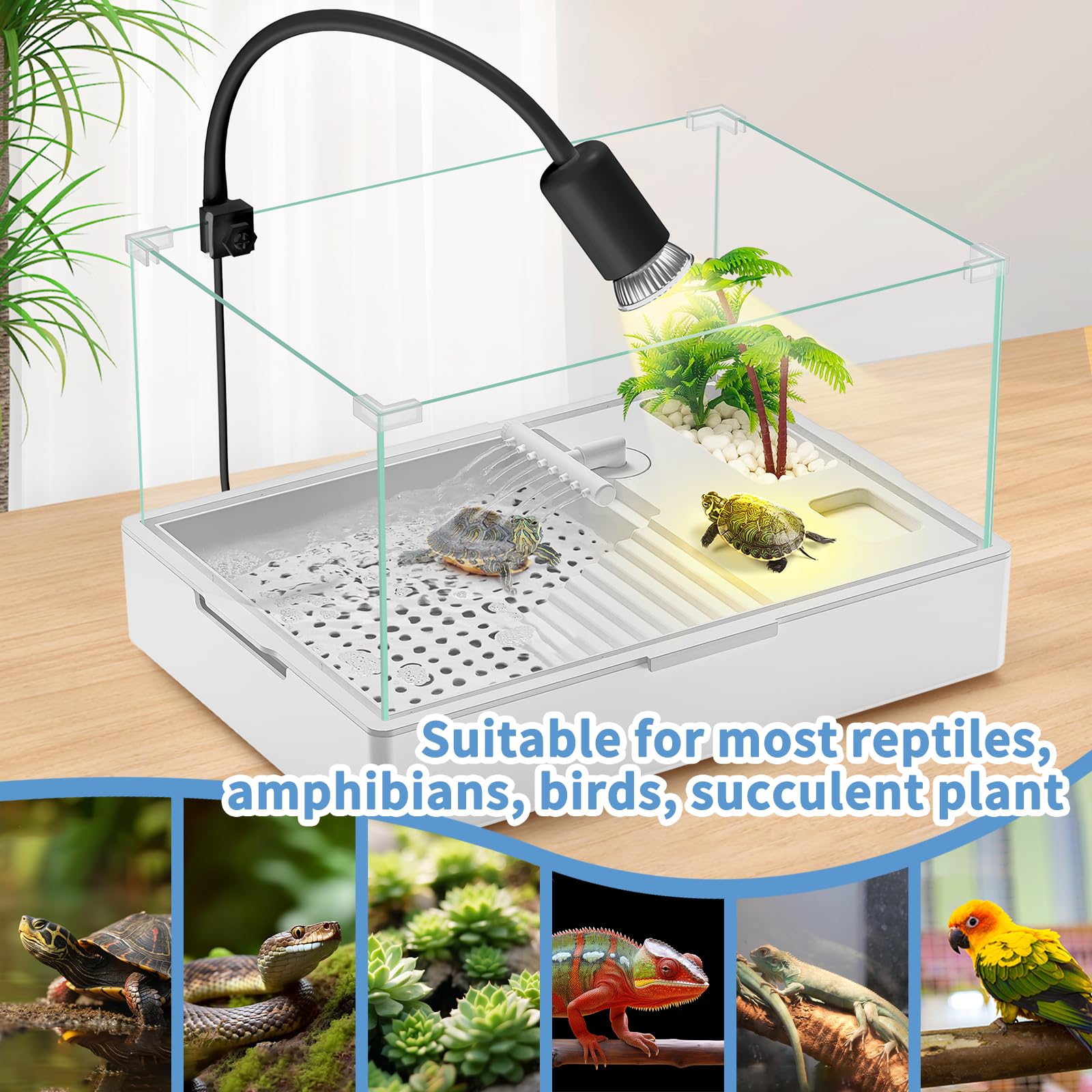 Moonorange Reptile Heat Lamp, 360 Rotatable Uva/Uvb Light Lamp With 2 Pack Basking Bulbs (25W + 35W), Suitable For Bearded Drago