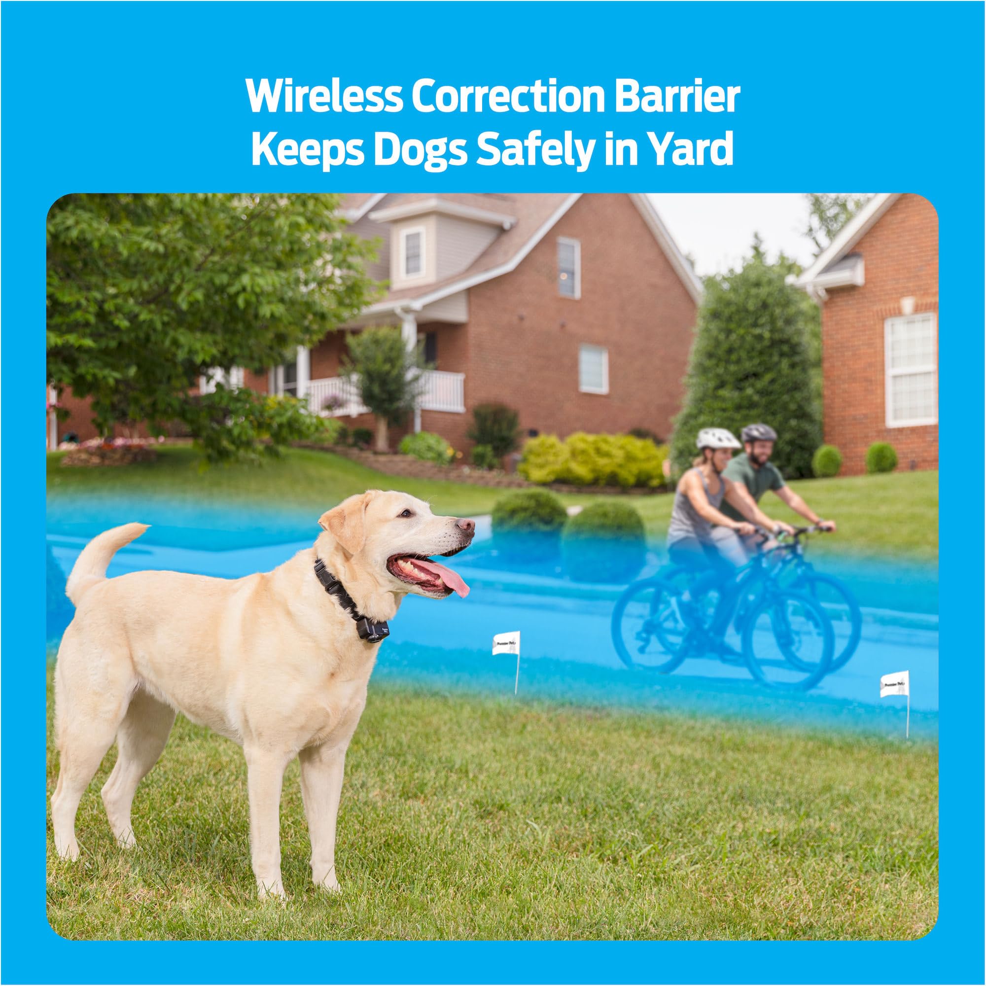 Premier Pet Wireless Dog Fence System - Circular Boundary, Adjustable Up To  Acre, Waterproof Collar With Tone And 5 Static Corr