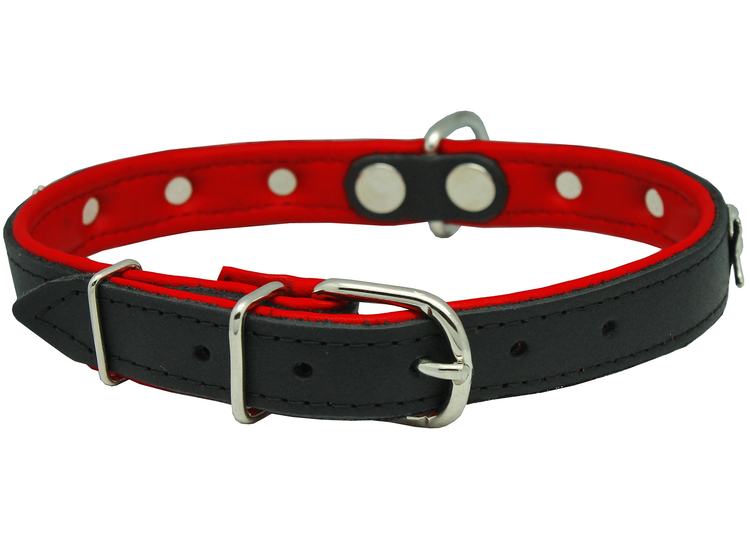 Dogs My Love Real Leather Skull Studded Padded Dog Collar (15.5''-18.5'' Neck; 3/4'' Wide, Black/Red)