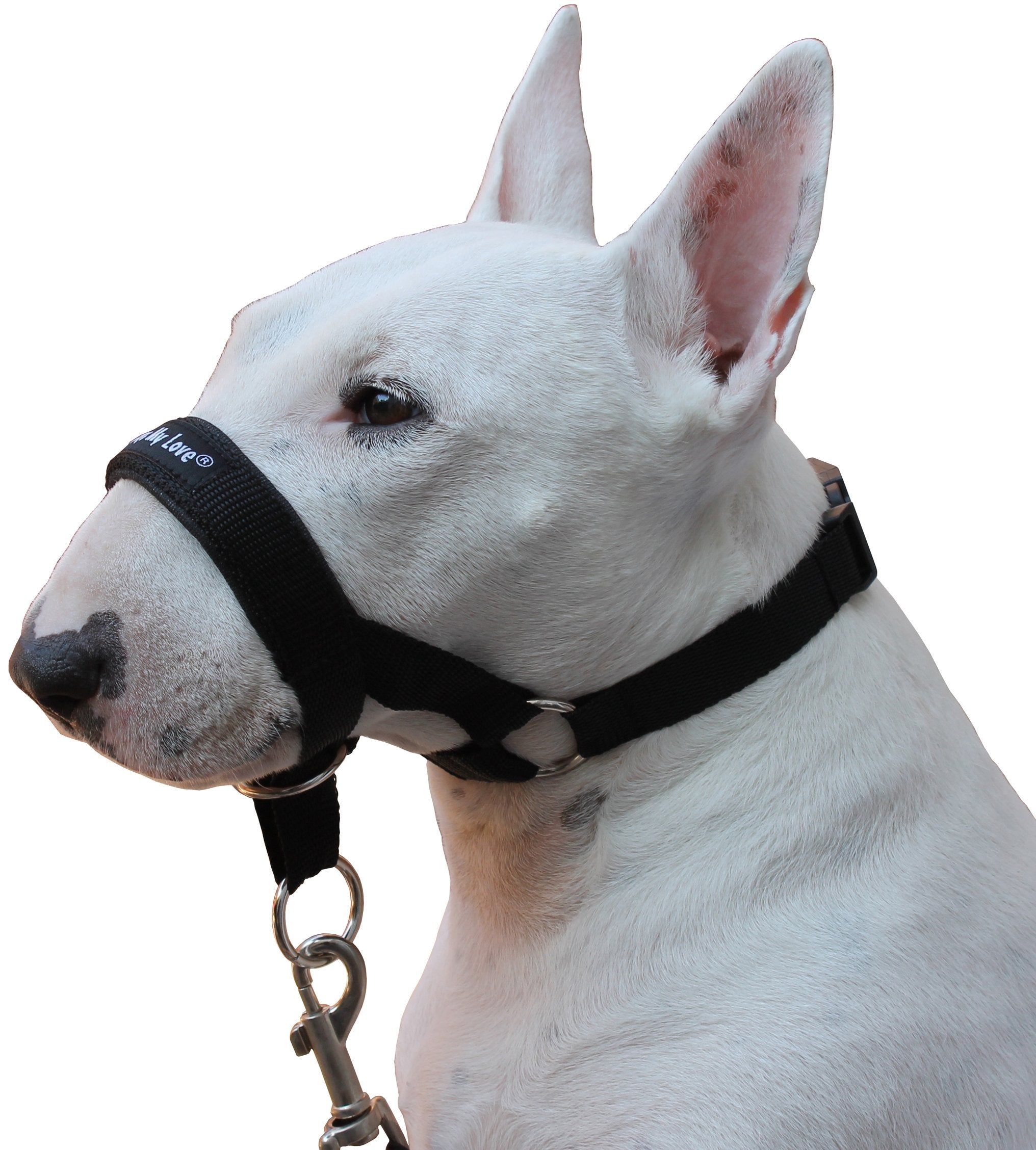 Dog Head Collar Halter Black (L 10.25Inch12.25Inch Snout)