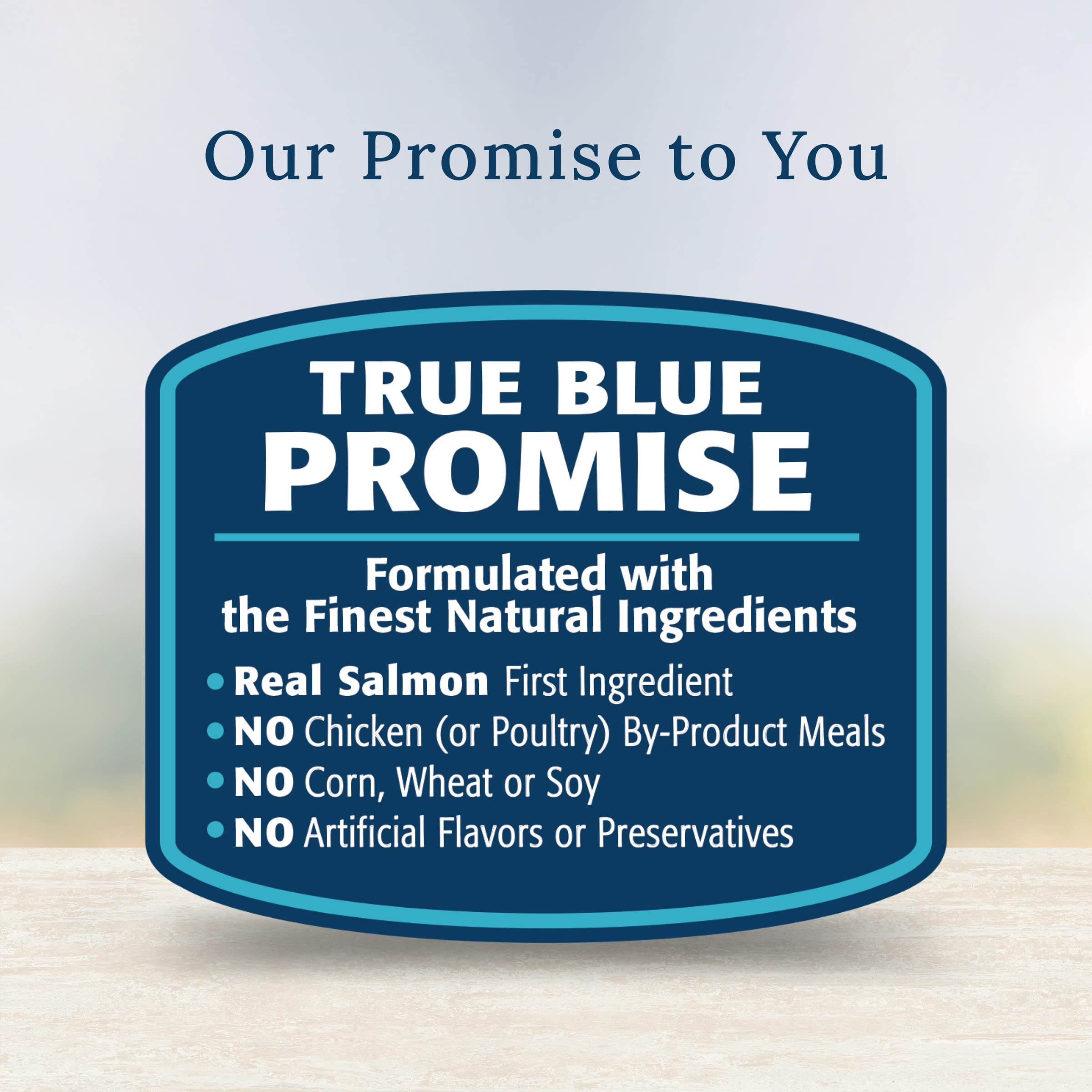 Blue Buffalo Basics Skin & Stomach Care Natural Wet Dog Food Topper, Salmon in Gravy 2.5oz Pouch (12 Pack)