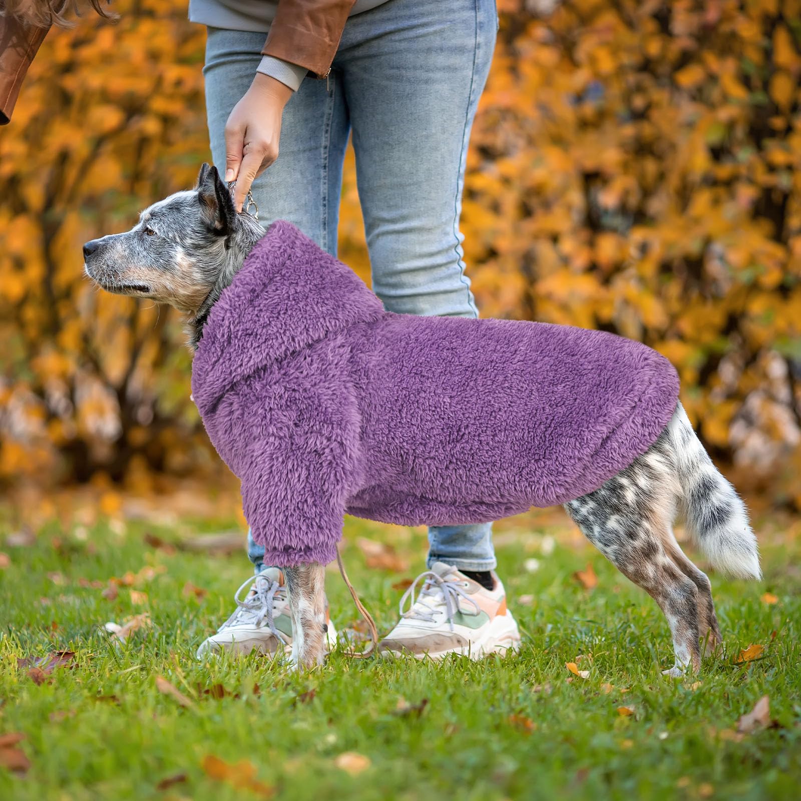 Fuzzy Dog Hoodie - Soft Double-Sided Plush Fleece Dog Sweater For Large Dogs - Sherpa Hooded Sweatshirt (Purple-Xxl)