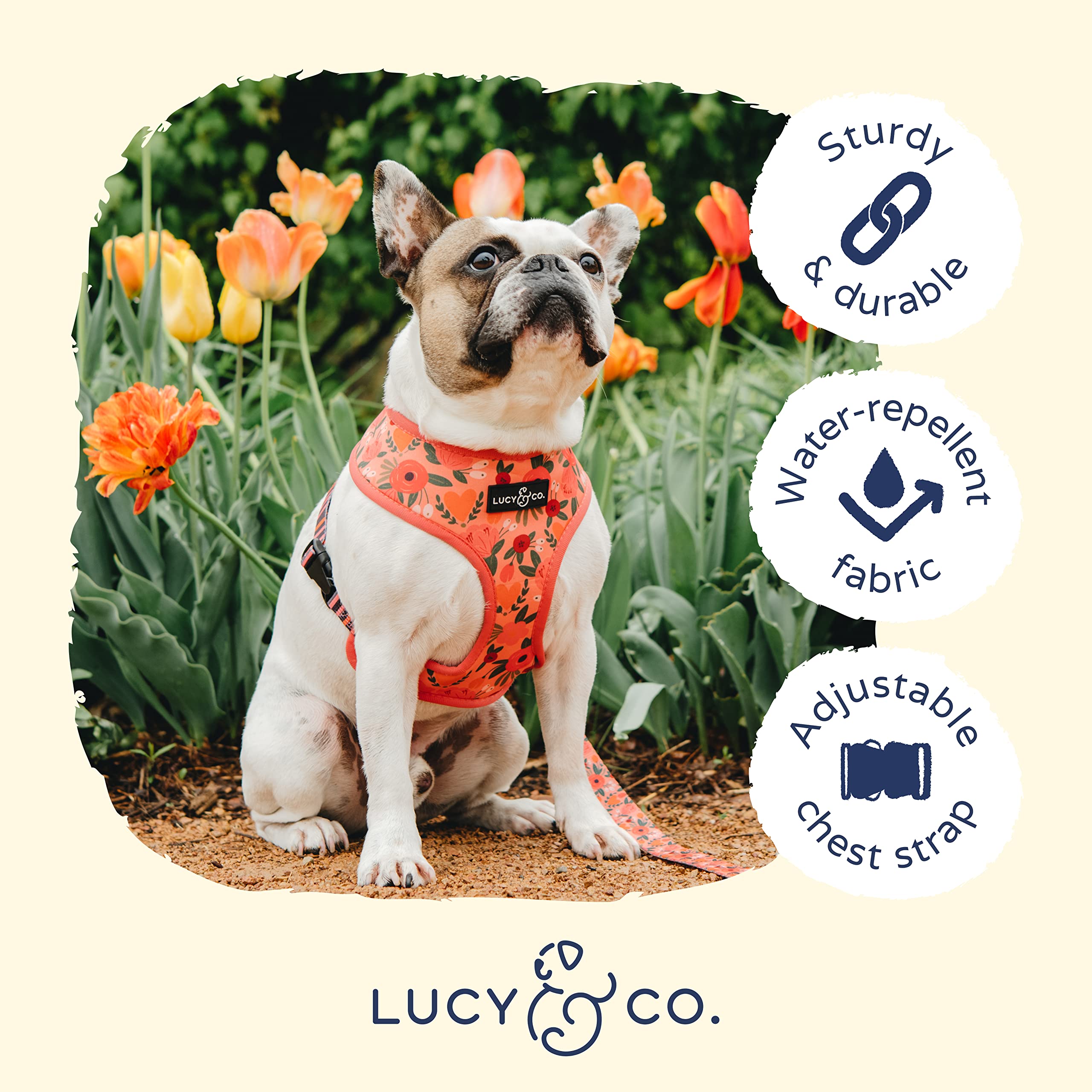 Lucy & Co. Posy Pink, Cute Reversible Dog Harness Walking Halter - Best Designer Pet Harnesses For Medium Dogs - Padded Adjustab