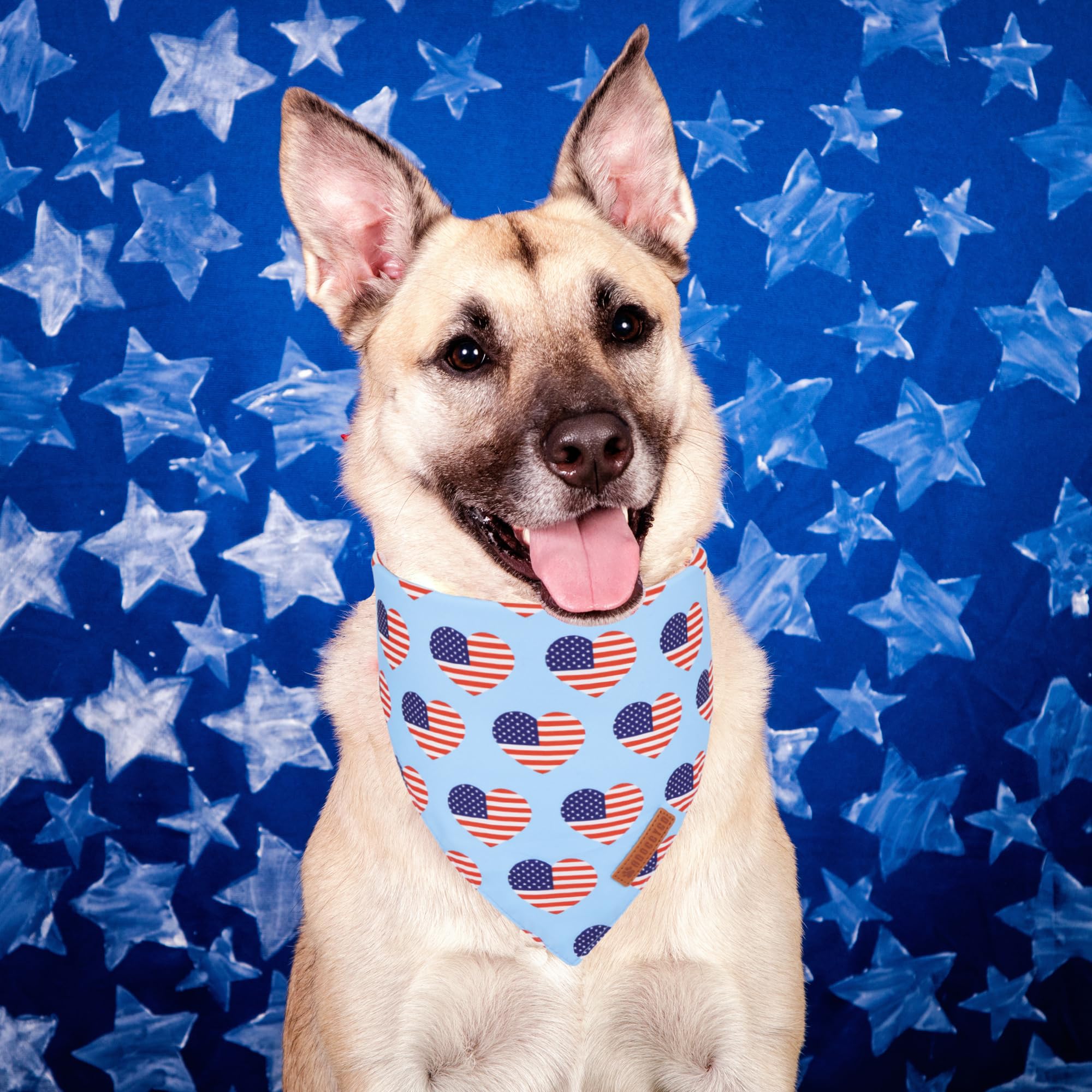 ADOGGYGO 4th of July Dog Bandanas, American Flag Pet Scarf, Multi Size Offered, White Blue Flag Bandana for Extra Large Dogs Pet
