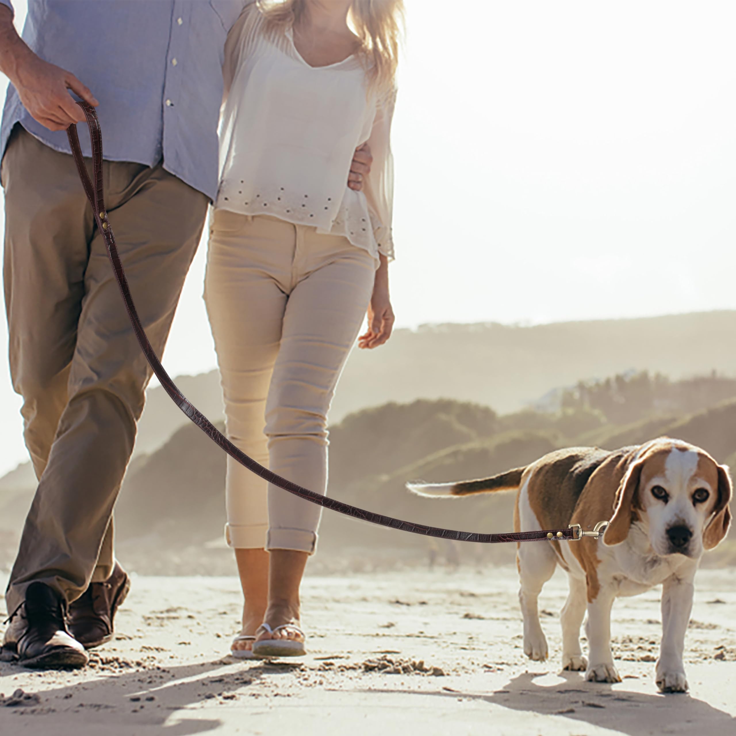 Light & Pro Genuine Leather Dog Collar And Leash Combo With Metal Buckle, Soft Handsome Comfirtable Durable Leash And Adjustable
