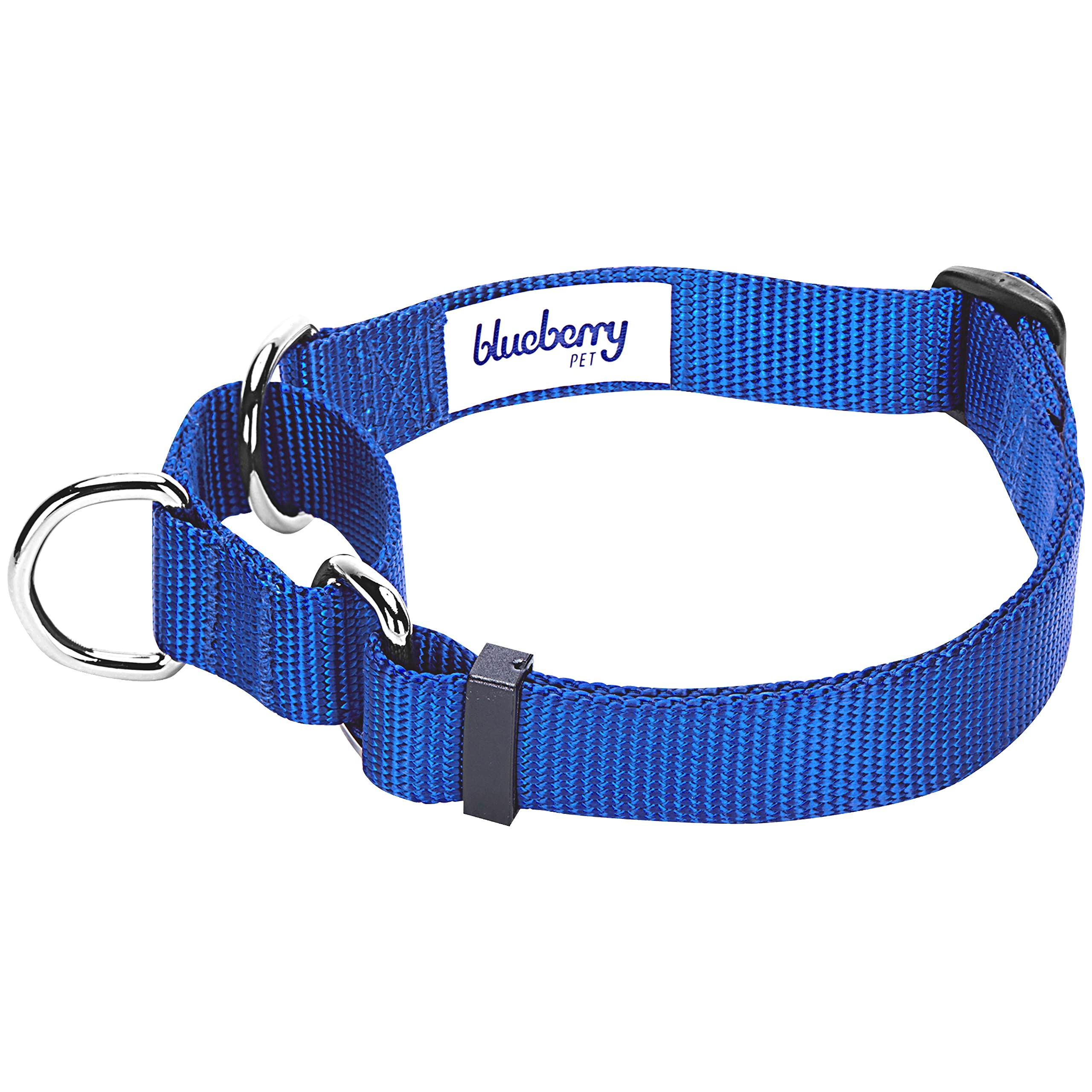 Blueberry Pet Essentials Martingale Safety Training Dog Collar, Royal Blue, Small, Heavy Duty Nylon Adjustable Collars For Dogs