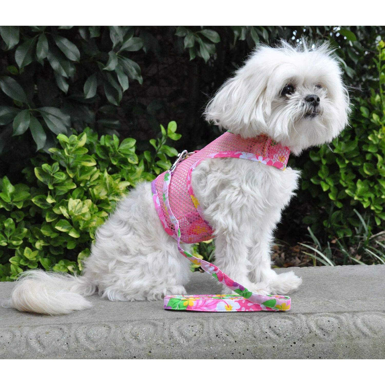 Doggie Design Cool Mesh Dog Harness With Leash Pink Hawaiian Floral (X-Small)