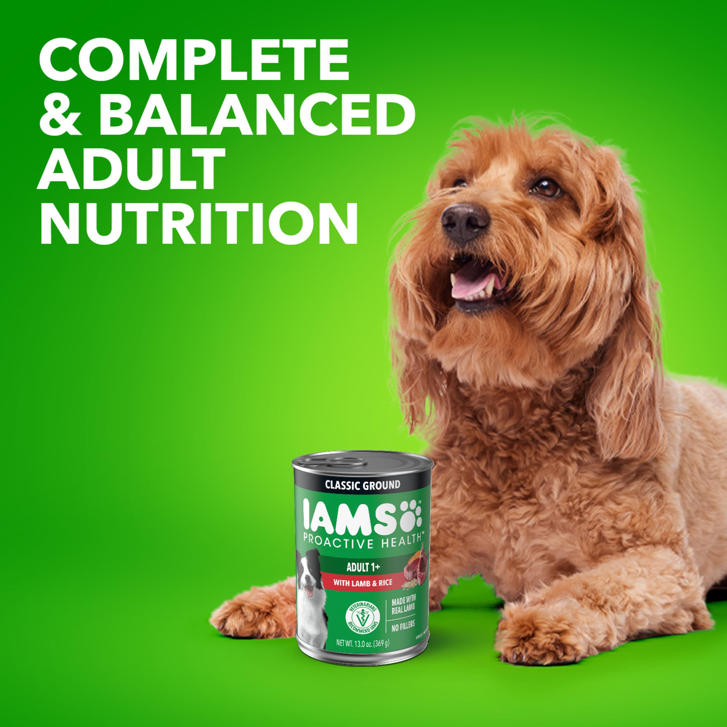 IAMS Proactive Health Adult Wet Dog Food Classic Ground with Lamb and Rice, 13 oz. Cans, Pack of 12