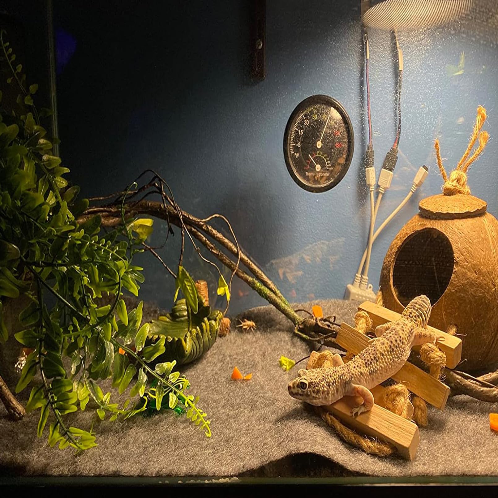 Muyg Grested Gecko Coconut Hut With Ladder,Leopard Gecko Coconut Hide Lizards Hanging Coco Den Cave Reptile Hammock Reptiles Tan