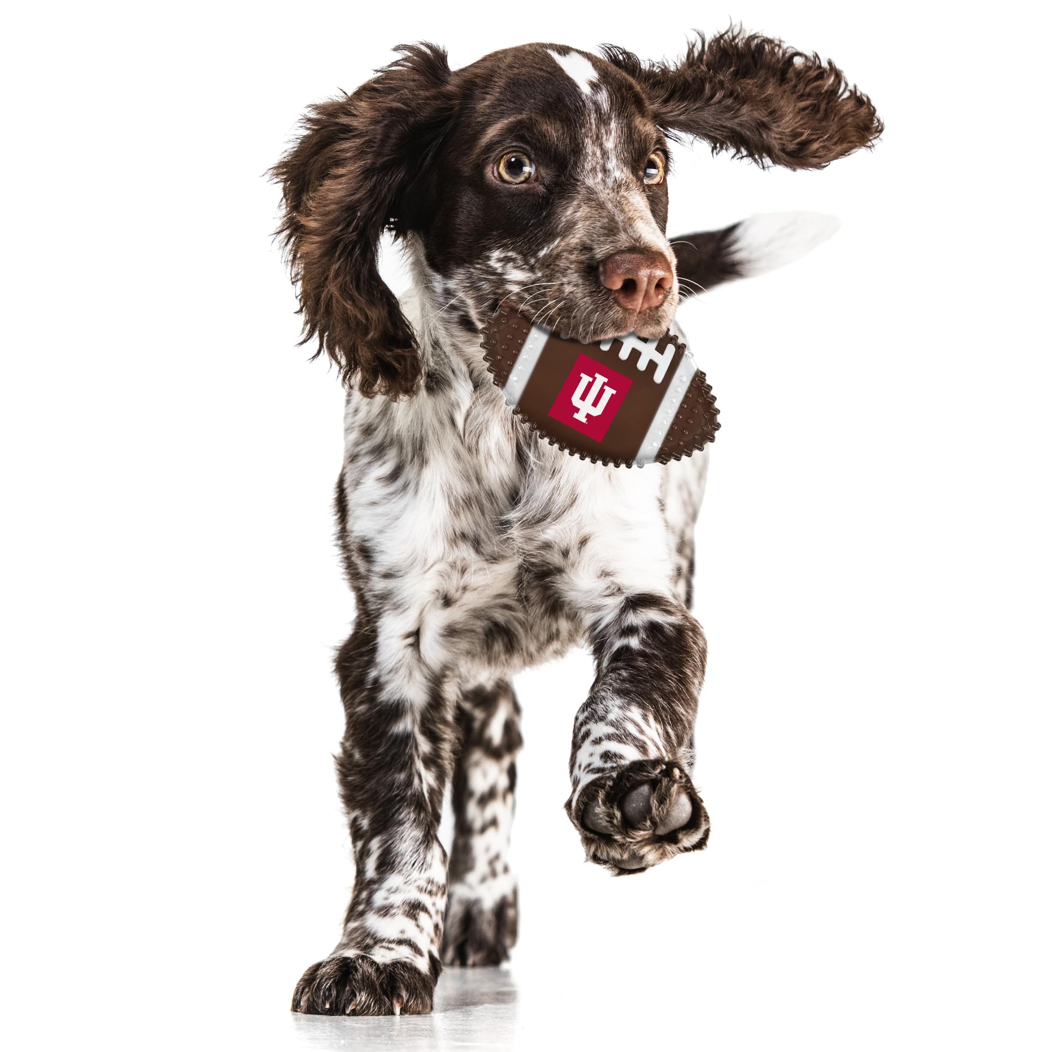 Pets First Ncaa Indiana Hoosiers Mega-Chew Hard Nylon Bacon-Flavored Bone Football Chew Toy. Interactive Tasty & Fun Chew Toy. I