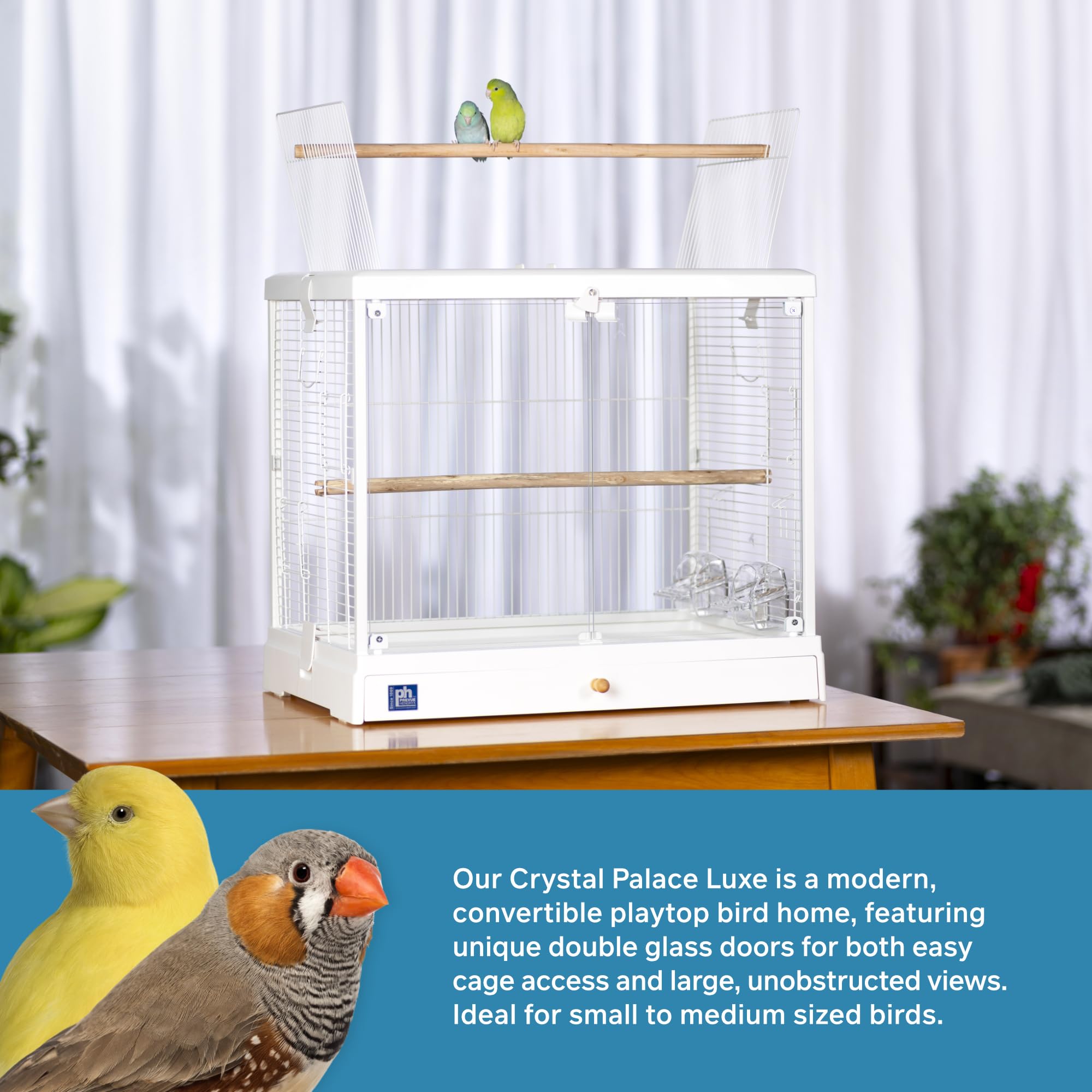 PH Prevue Hendryx Clear View Glass Bird Cage for Small Birds - 23.5" L x 16.5" W x 21.75" H - White Frame Model 224