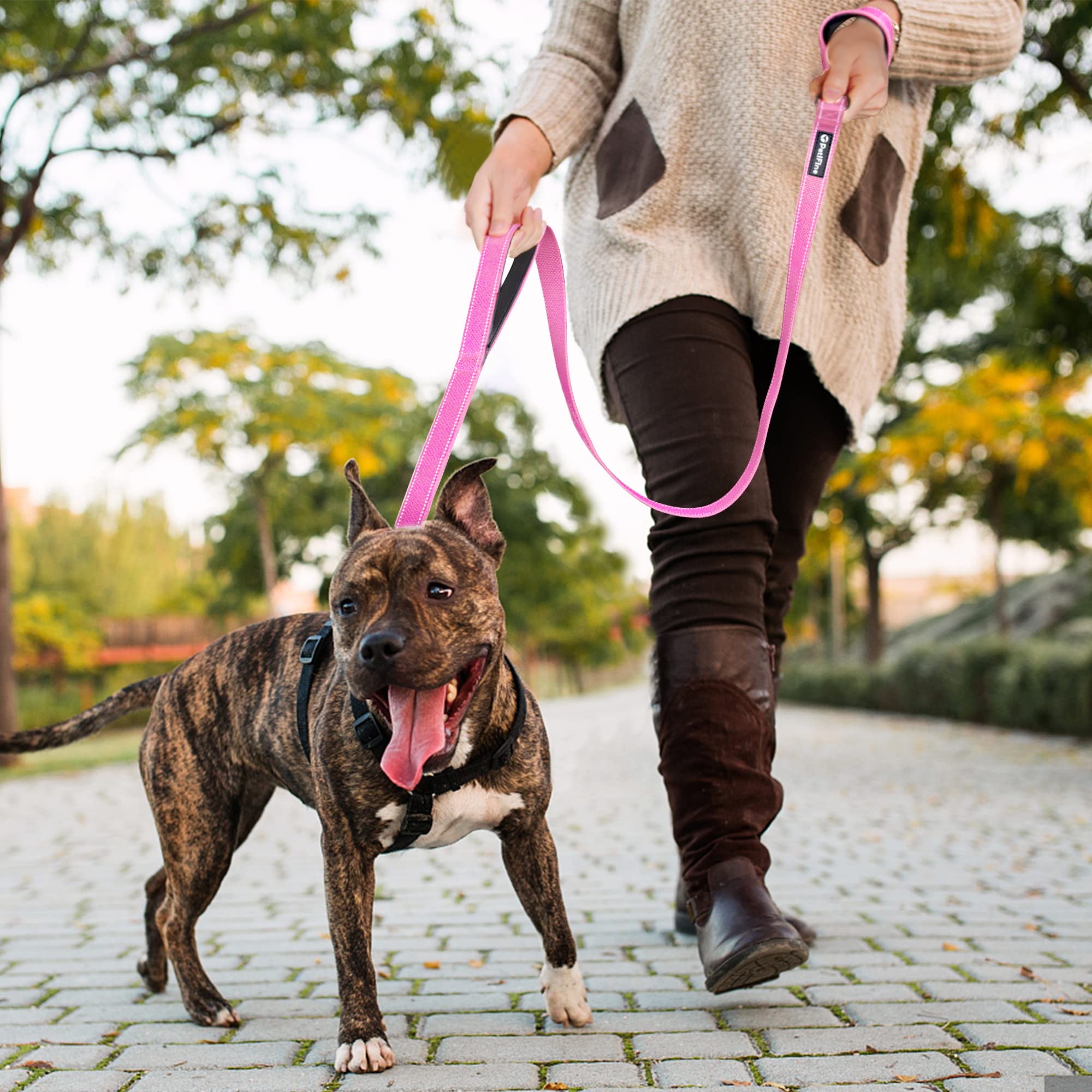 Petifine 4Ft Heavy Duty Dog Leash With Soft Padded Double Handle, Durable Strong Clasp Dog Leashes, Reflective Nylon Walking Lead For Large,Medium,Small Breed Dogs, Pink