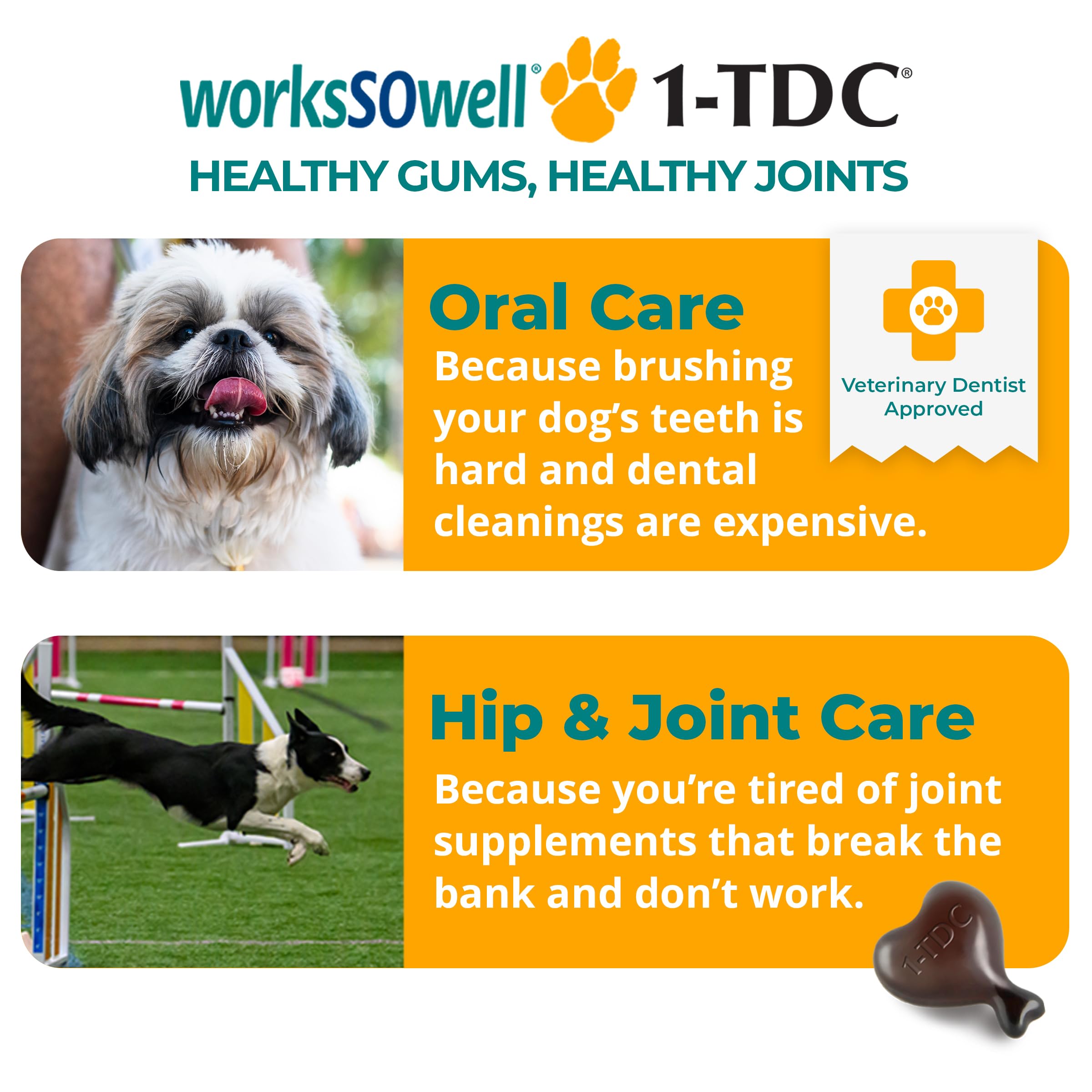 1-TDC WorksSoWell Dual Action Natural Support - 120 Twist Off Soft Gels | Delivers 4 Health Benefits for Dogs & Cats | Supports