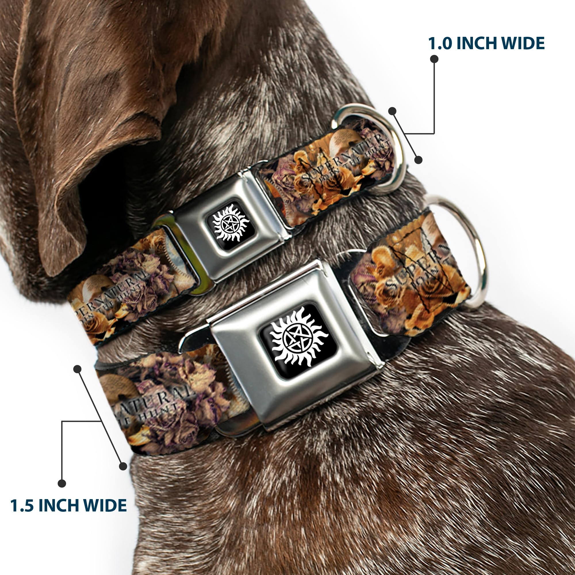 Buckle-Down Dog Collar Seatbelt Buckle Supernatural 4 Character Saintly Icons Skull Roses, 1 Wide - Fits 9-15 Neck - Small,