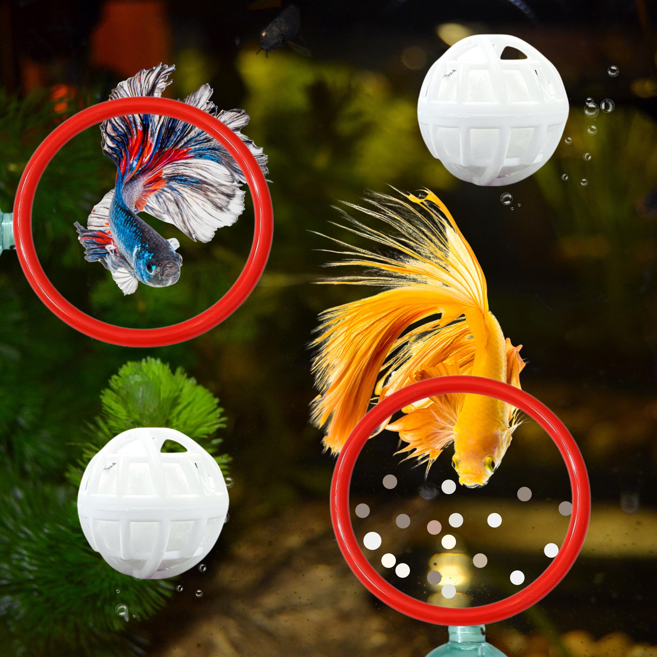 Betta Fish Exercise Ring And Filter Balls Set, Betta Ring And Turtle Water Cleaner Ball, Fish Feeder Rings With Nitrifying Balls