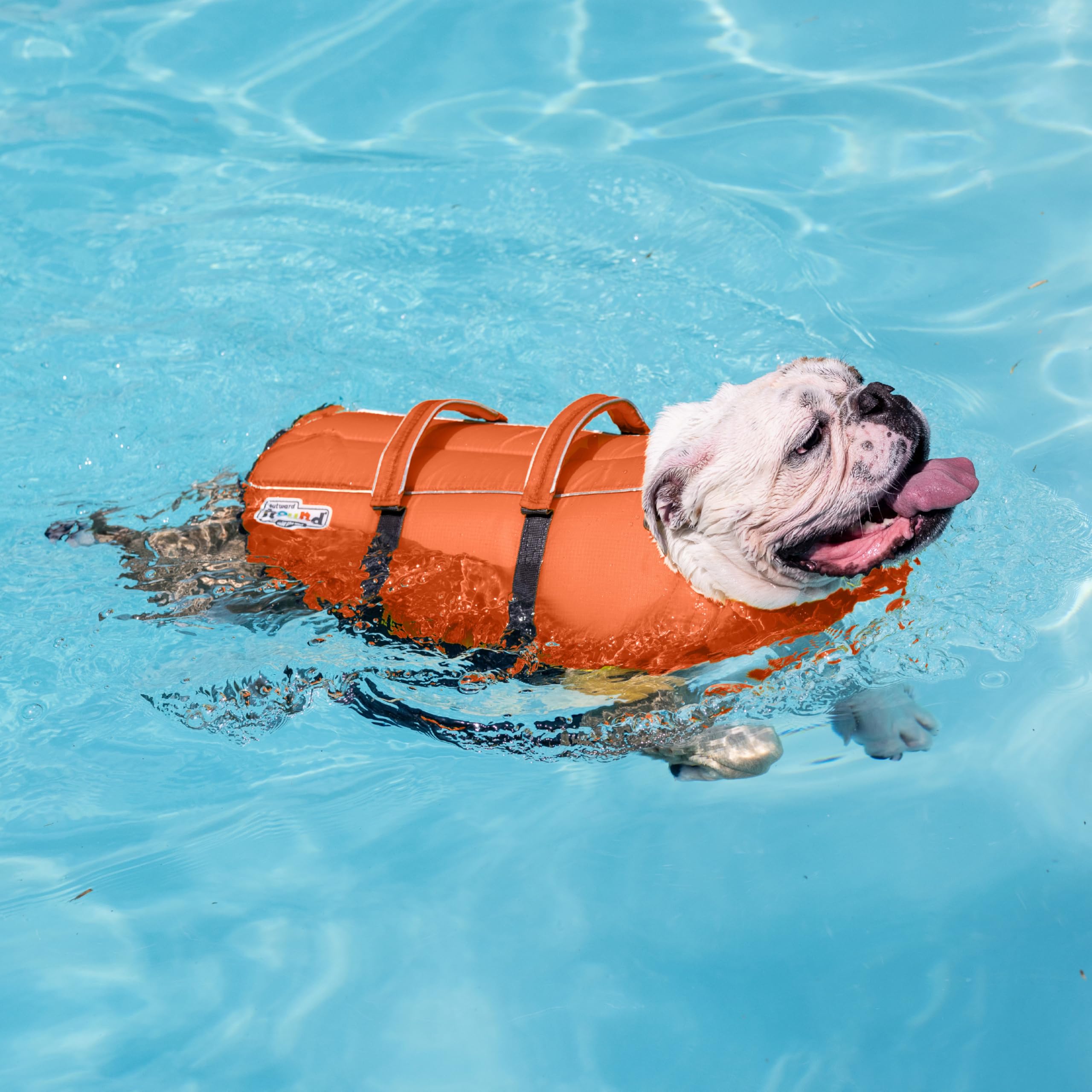 Outward Hound Granby Splash Orange Dog Life Jacket, Large
