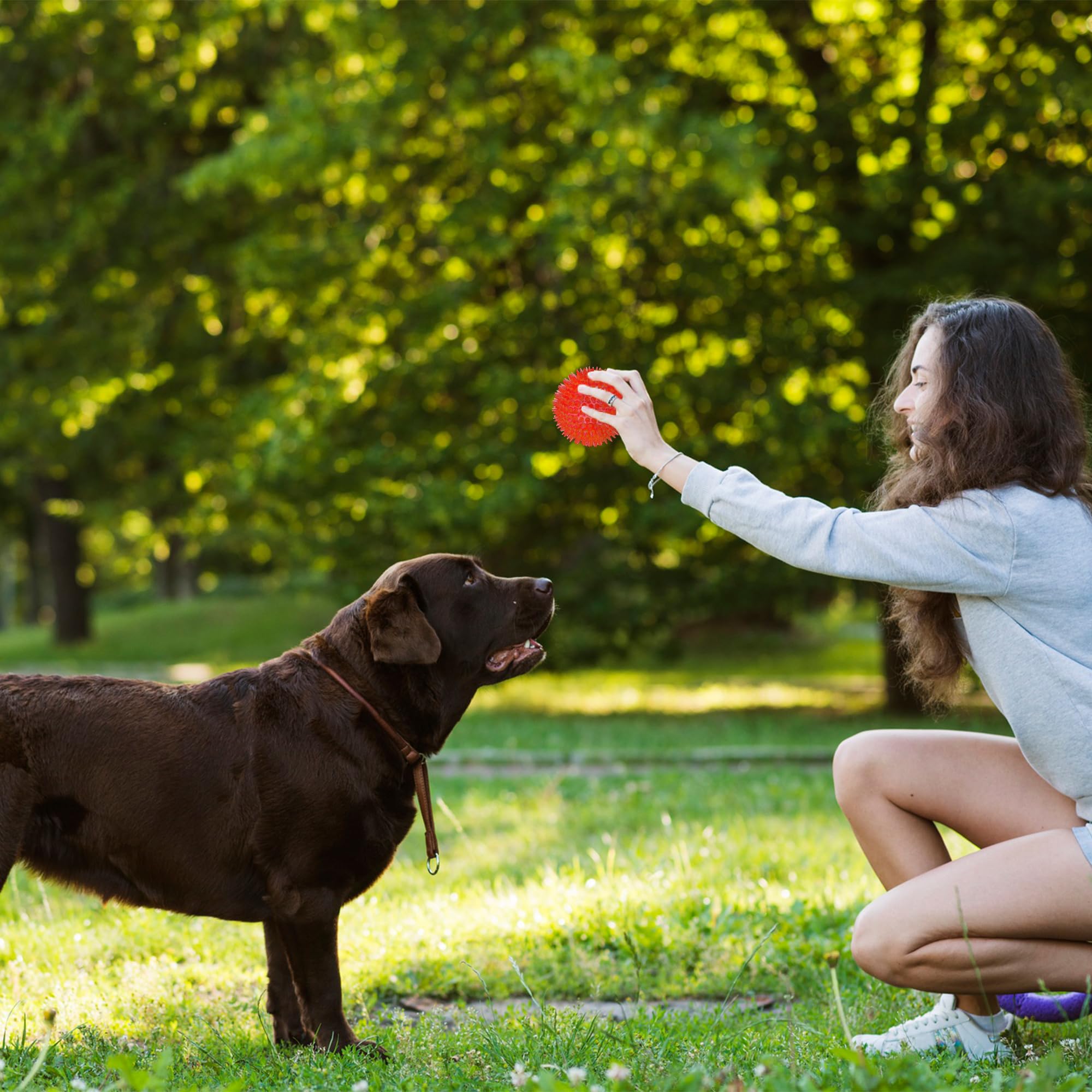 Ousiya 3.5    Squeaky Dog Toy Balls (6 Colors) Dog Toys Spikey Dog Ball for Aggressive Chewers Heavy Duty Teething Large Medium