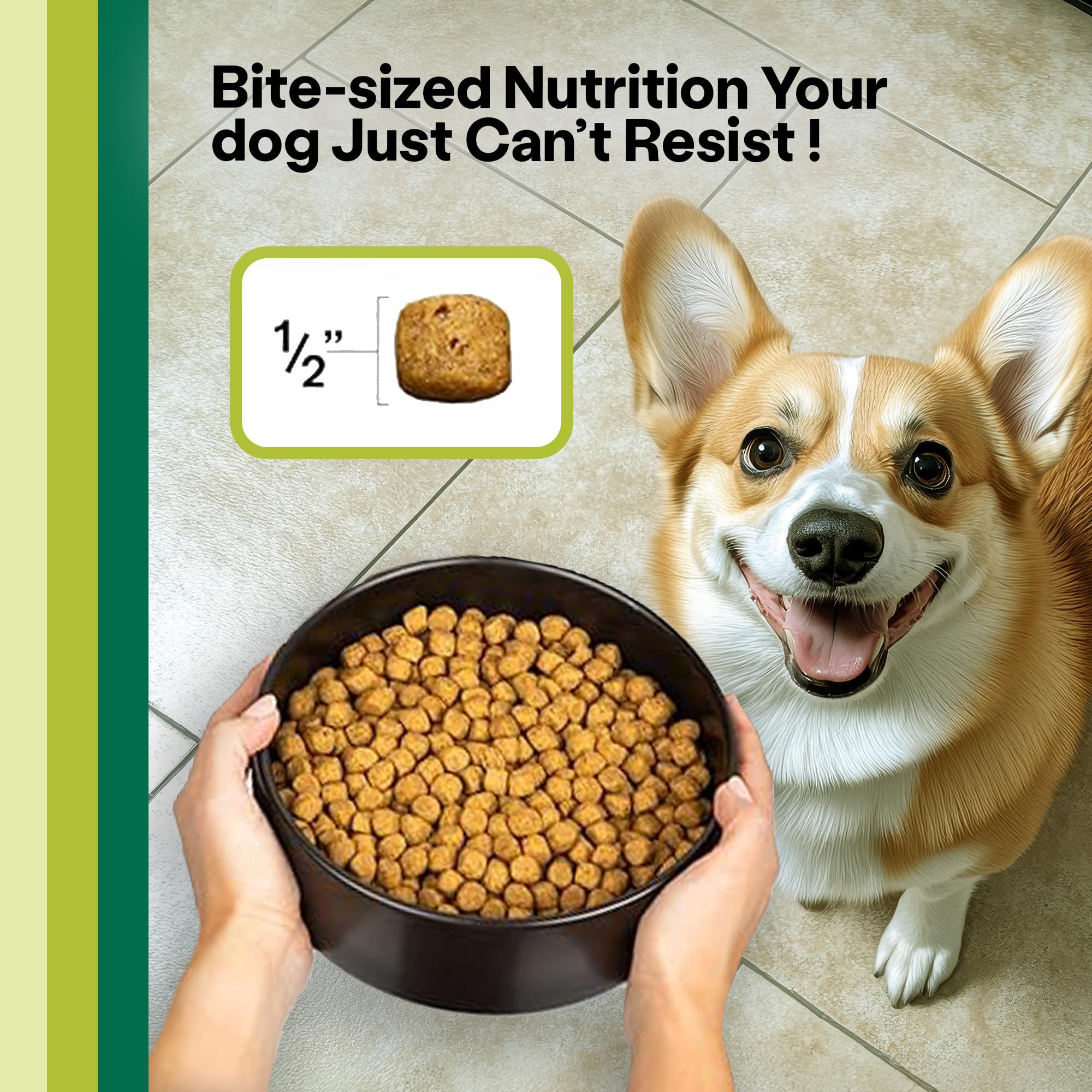 Wild Earth Vegan Dry Dog Food Performance Formula | Plant-Based Vegetarian Kibble | Wheat-Free, Allergen-Free, Veterinarian-Deve