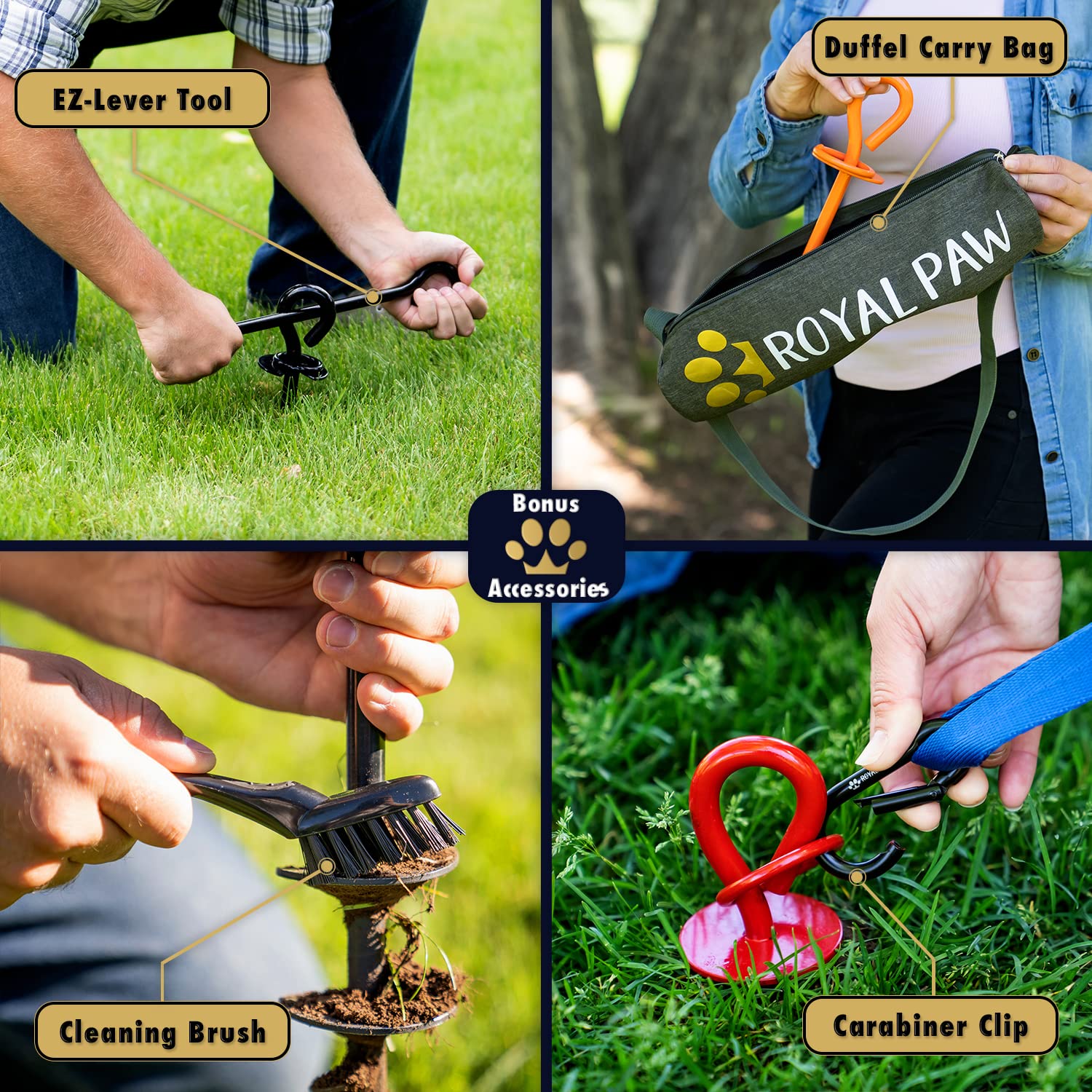 ROYAL PAW Dog Tie Out Stake - Heavy Duty Anchor for Large Dogs up to 210 lbs, Stainless Steel, O1-Royal Orange, Medium/Large/XL
