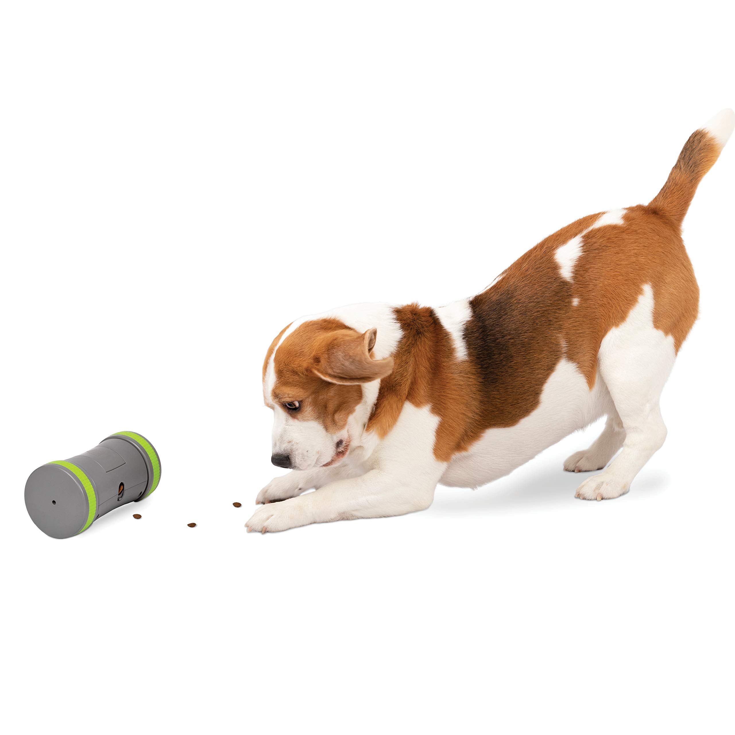Petsafe Kibble Chase Interactive Dog Toy - Slow Feeder - Electronic Treat Dispenser - Perfect For Small, Medium, And Large Dogs