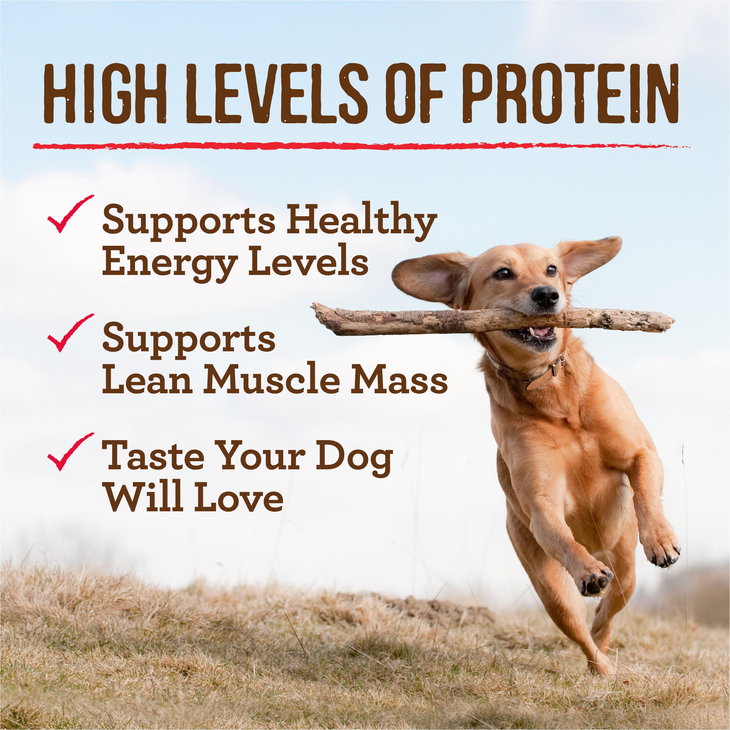 Merrick Grain Free Wet Dog Food, Premium And Wholesome Gluten Free Canned Adult Dog Food, Turducken Recipe - (Pack of 12) 12.7 o