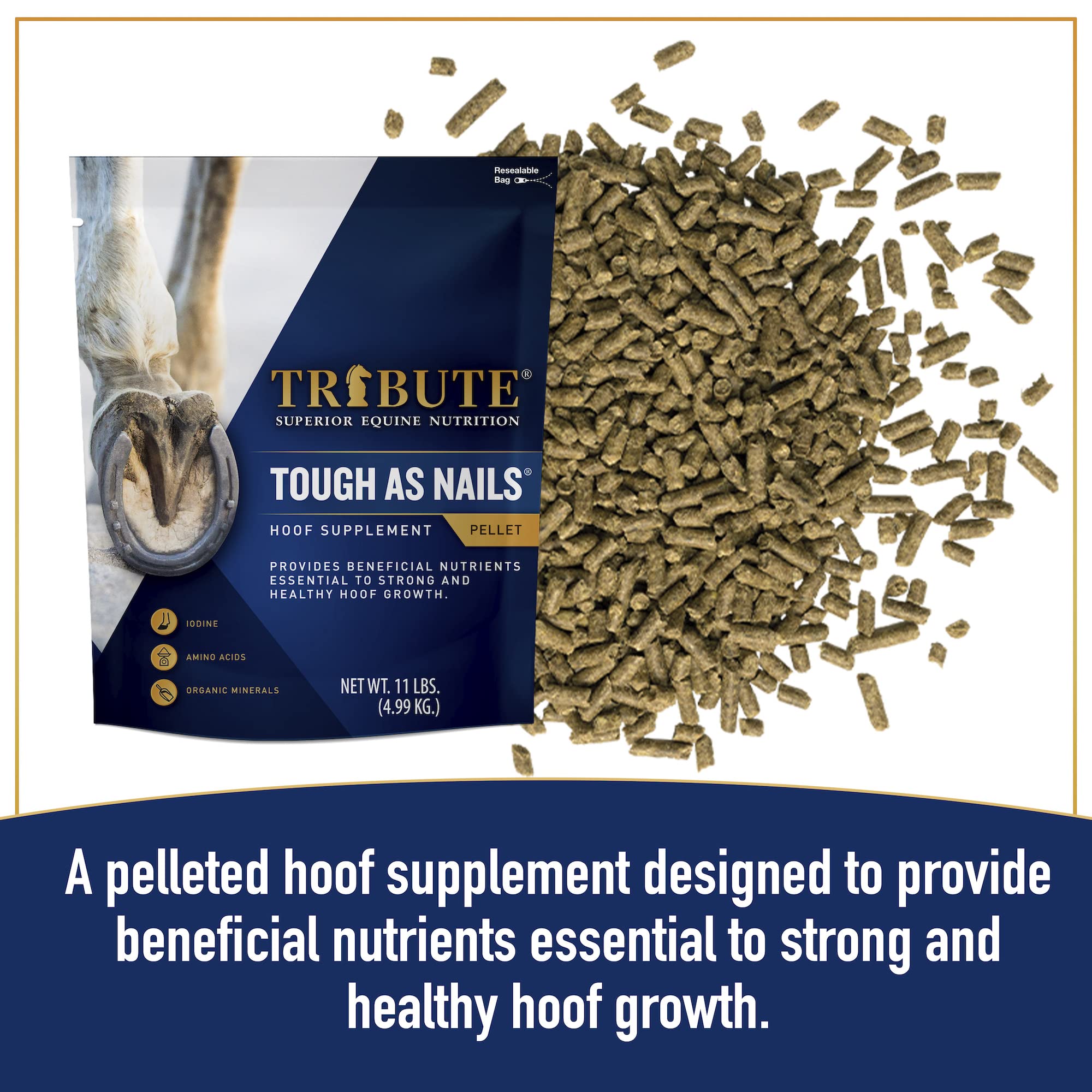 Tribute Tough As Nails 11lbs Pelleted Hoof Supplement
